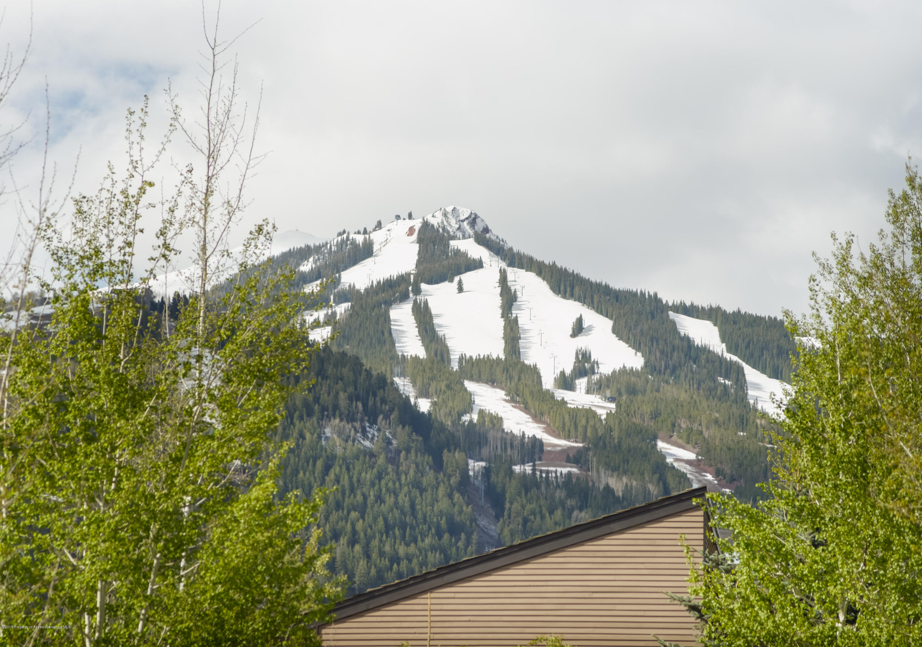 60 Maroon Court Aspen CO 81611