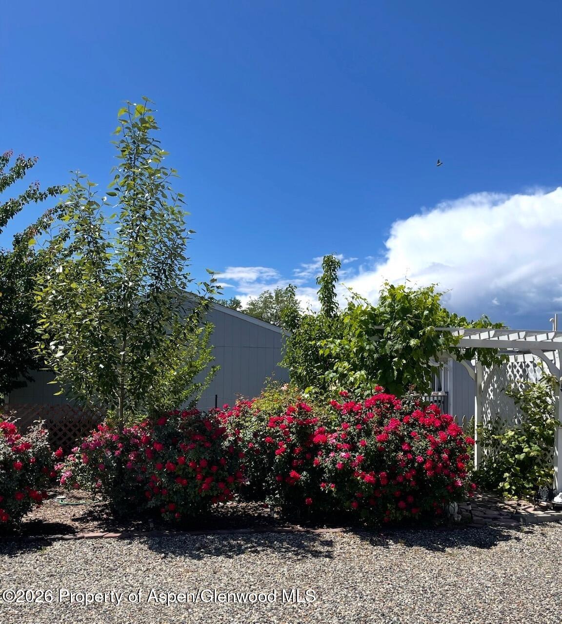 234 28 1/2 Road Grand Junction CO 81503