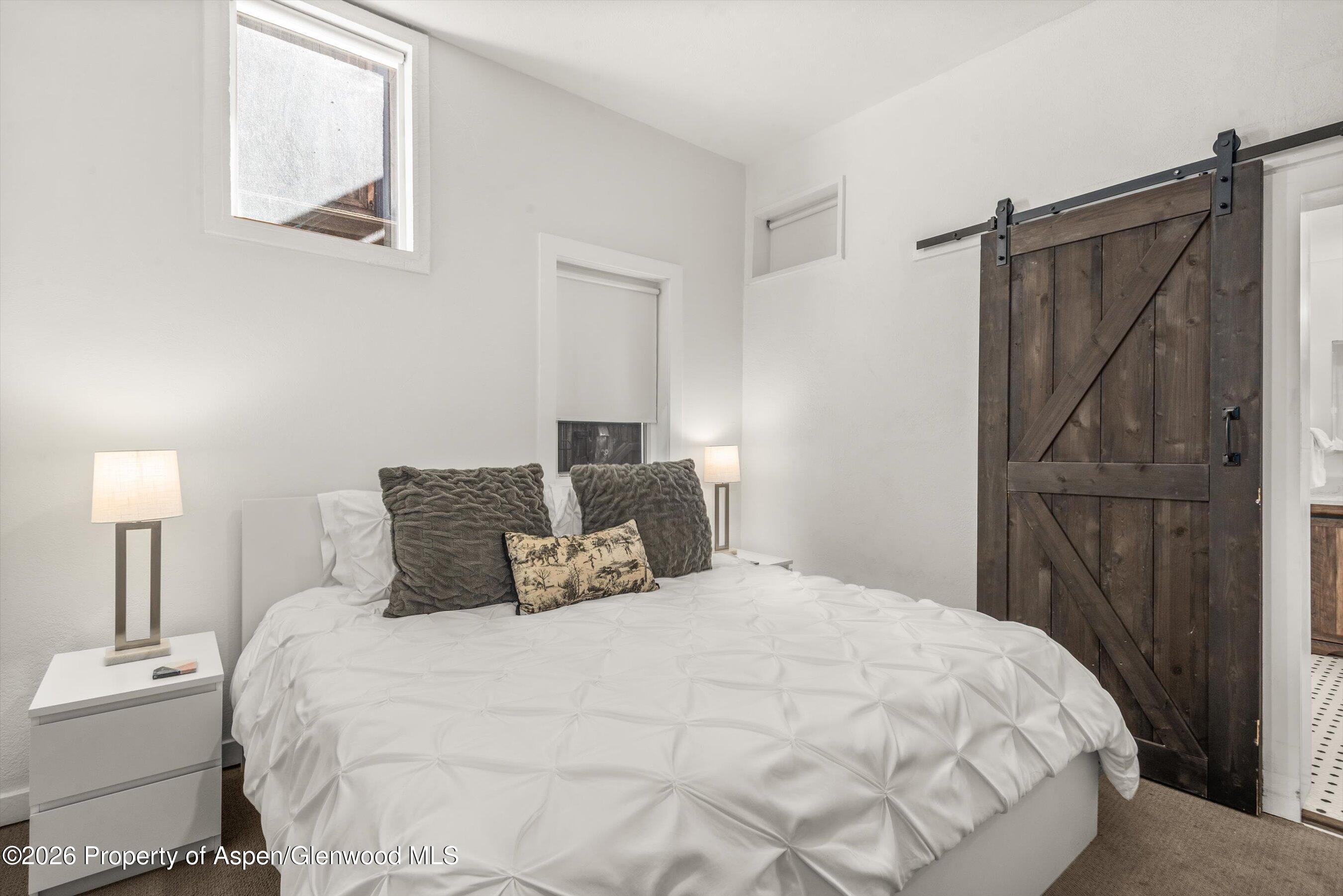 560 Spruce Street Aspen CO 81611