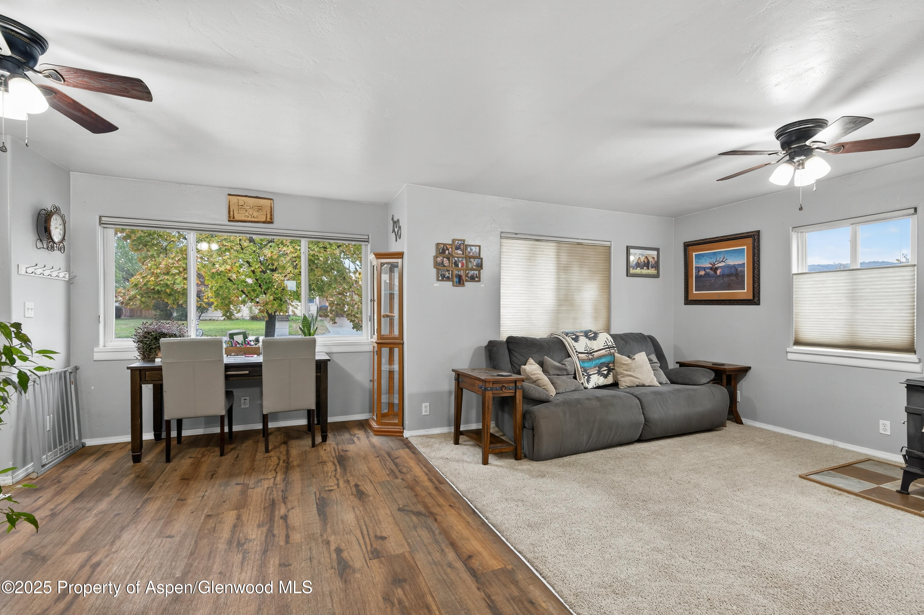 305 Elm Avenue Rifle CO 81650