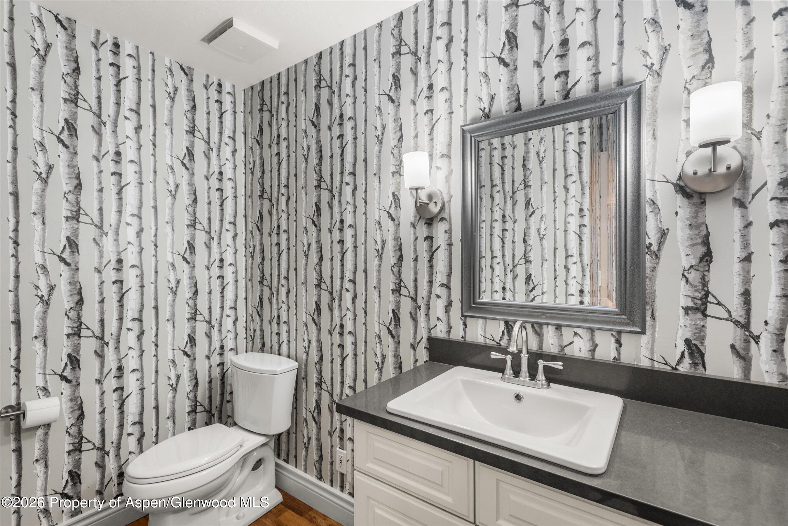 3 Red Wing Lane Carbondale CO 81623