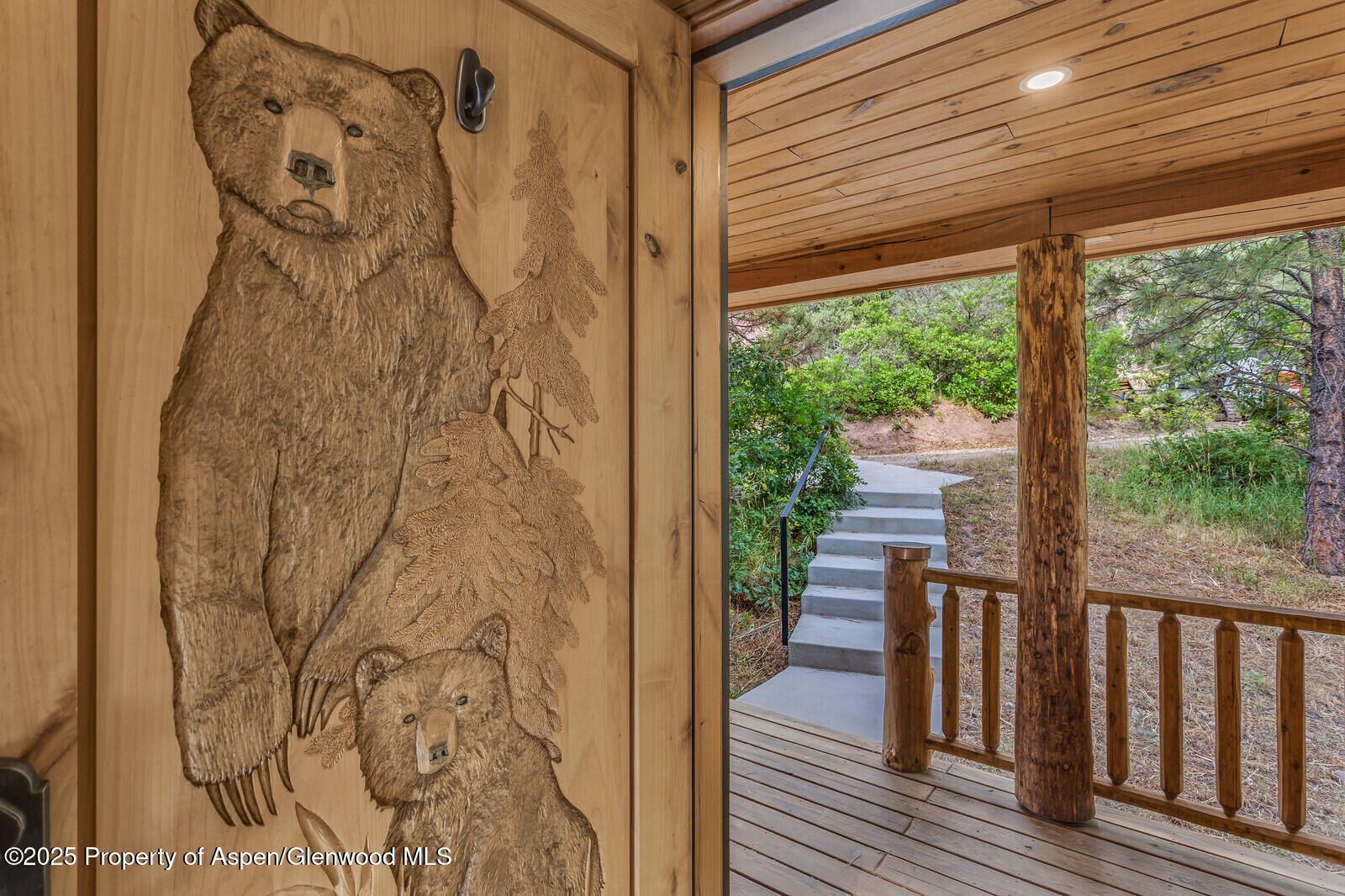 175 Bison Lane Redstone CO 81623