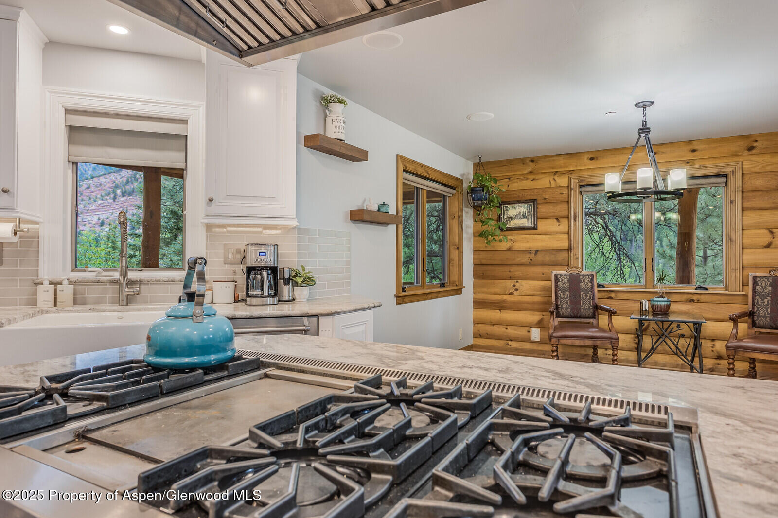 175 Bison Lane Redstone CO 81623