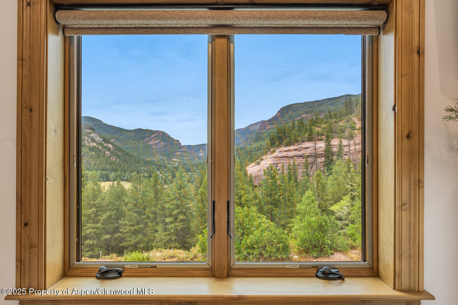 175 Bison Lane Redstone CO 81623