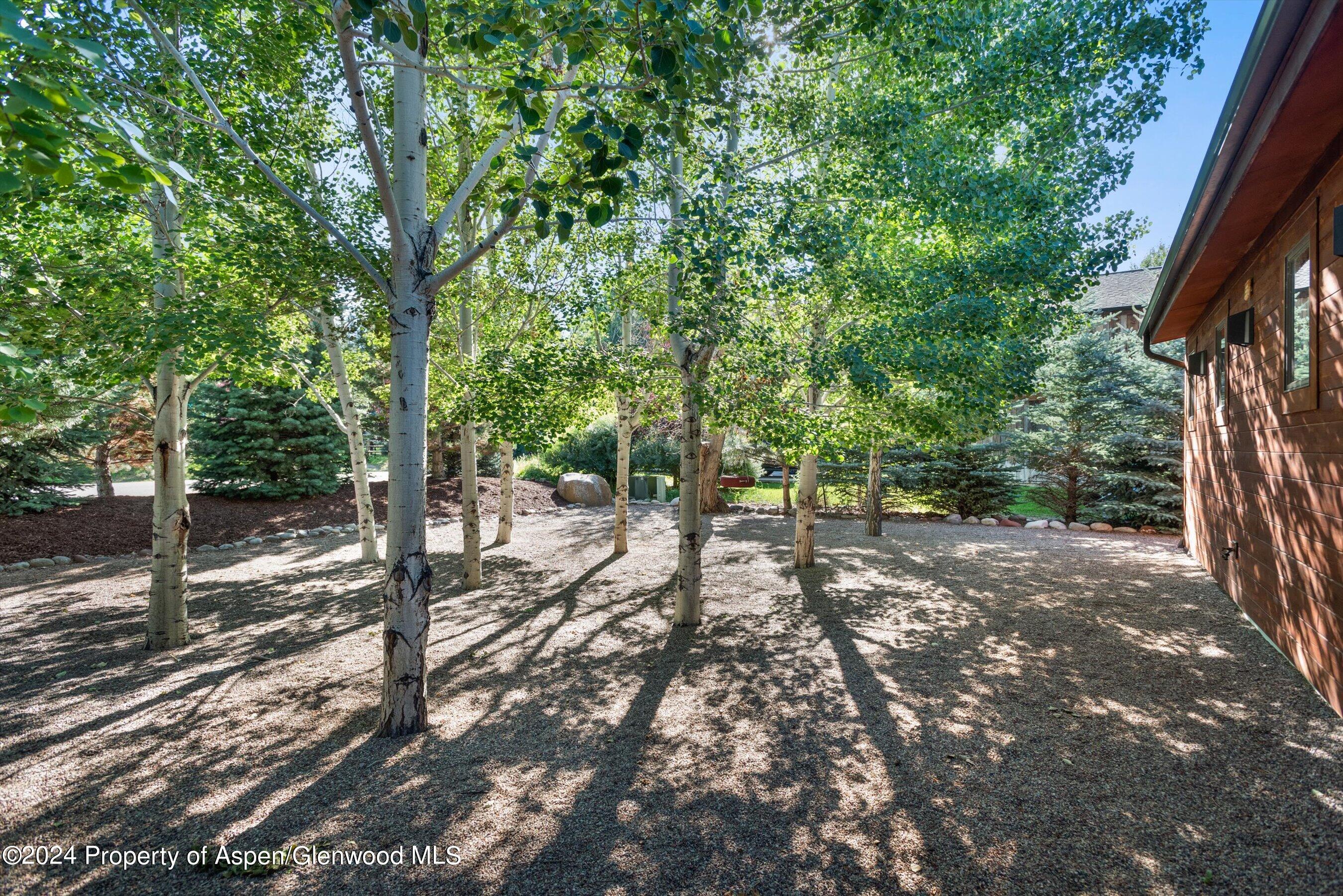 80 Equestrian Way Carbondale CO 81623