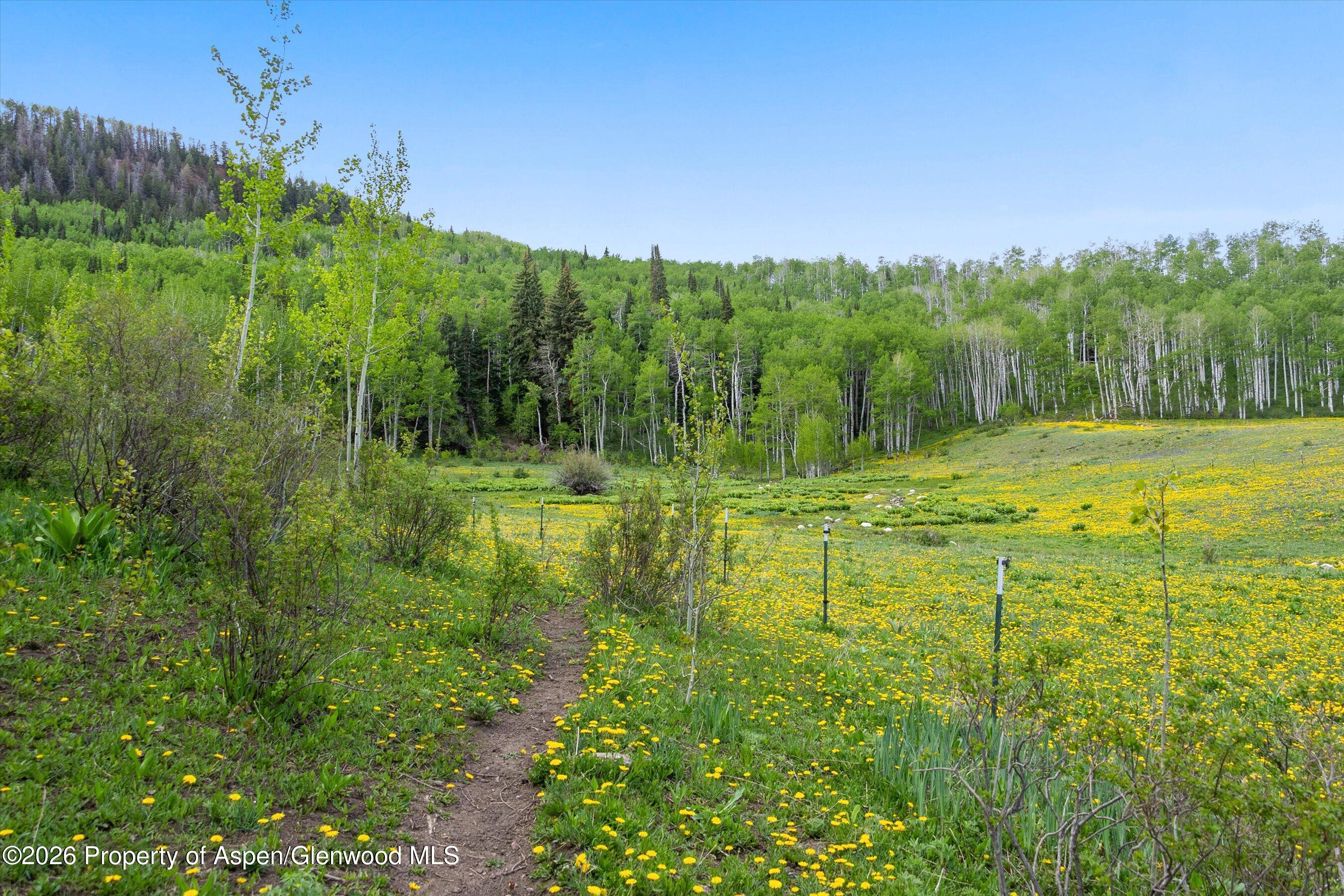 6855 Capitol Creek Road Snowmass CO 81654