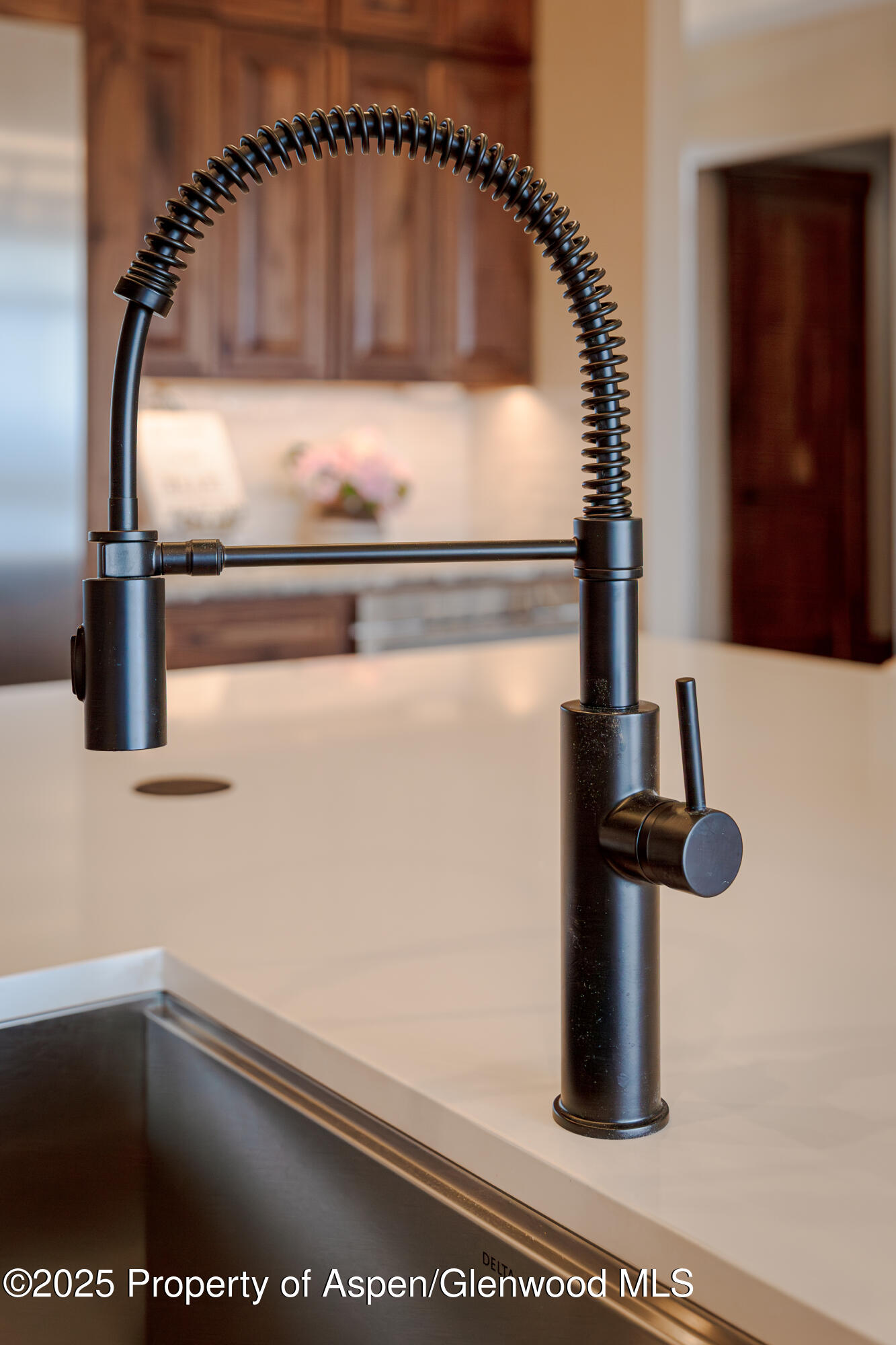 52 Grosbeak Place Glenwood Springs CO 81601