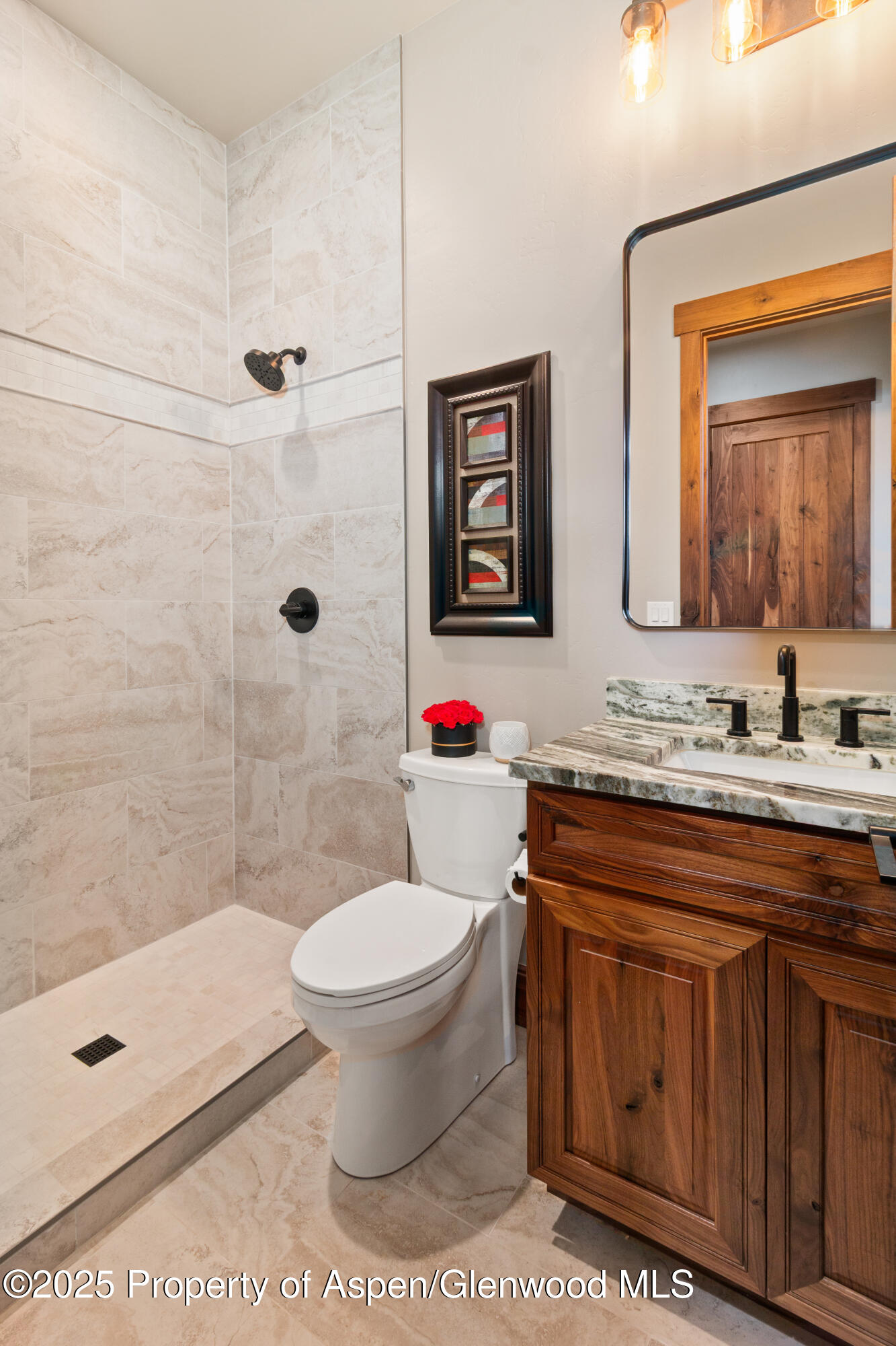 52 Grosbeak Place Glenwood Springs CO 81601