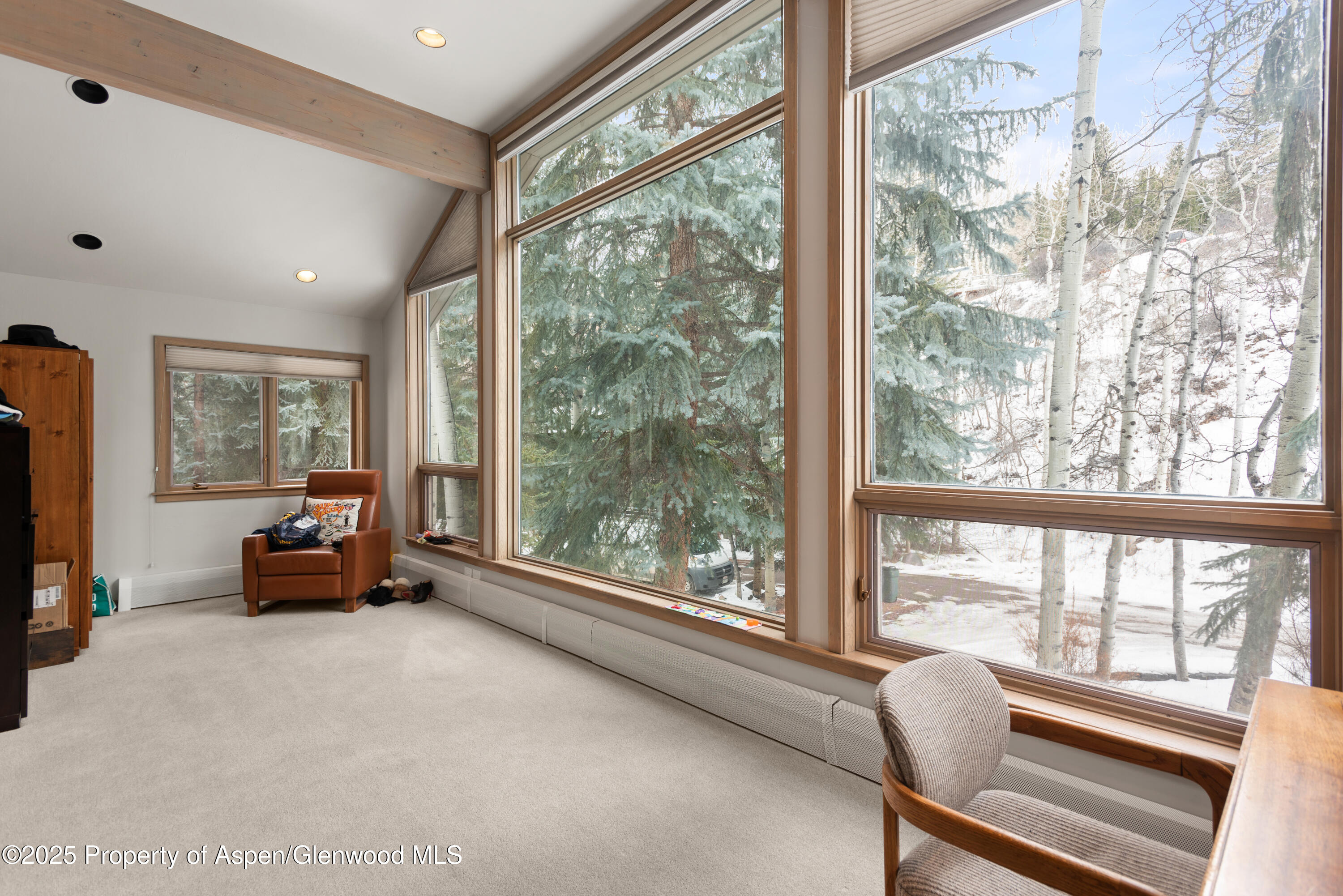 645 Sneaky Lane Aspen CO 81611