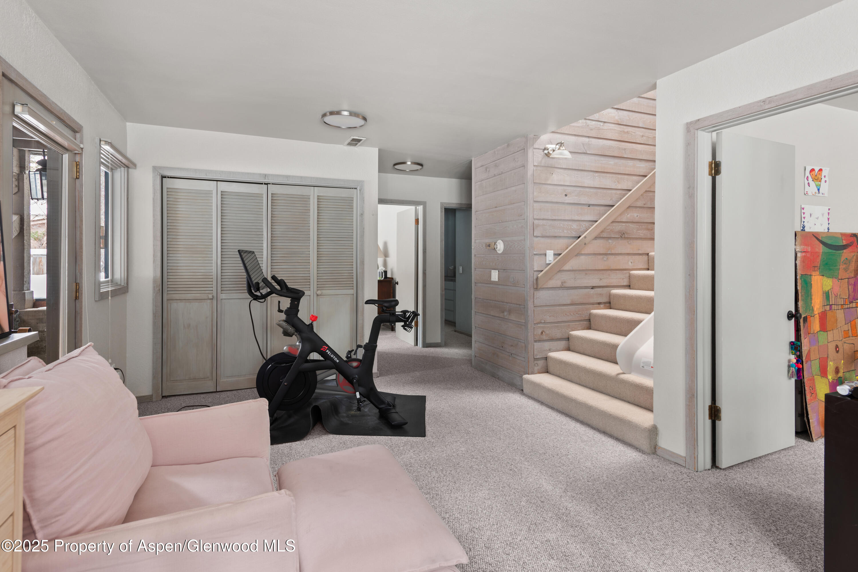 645 Sneaky Lane Aspen CO 81611