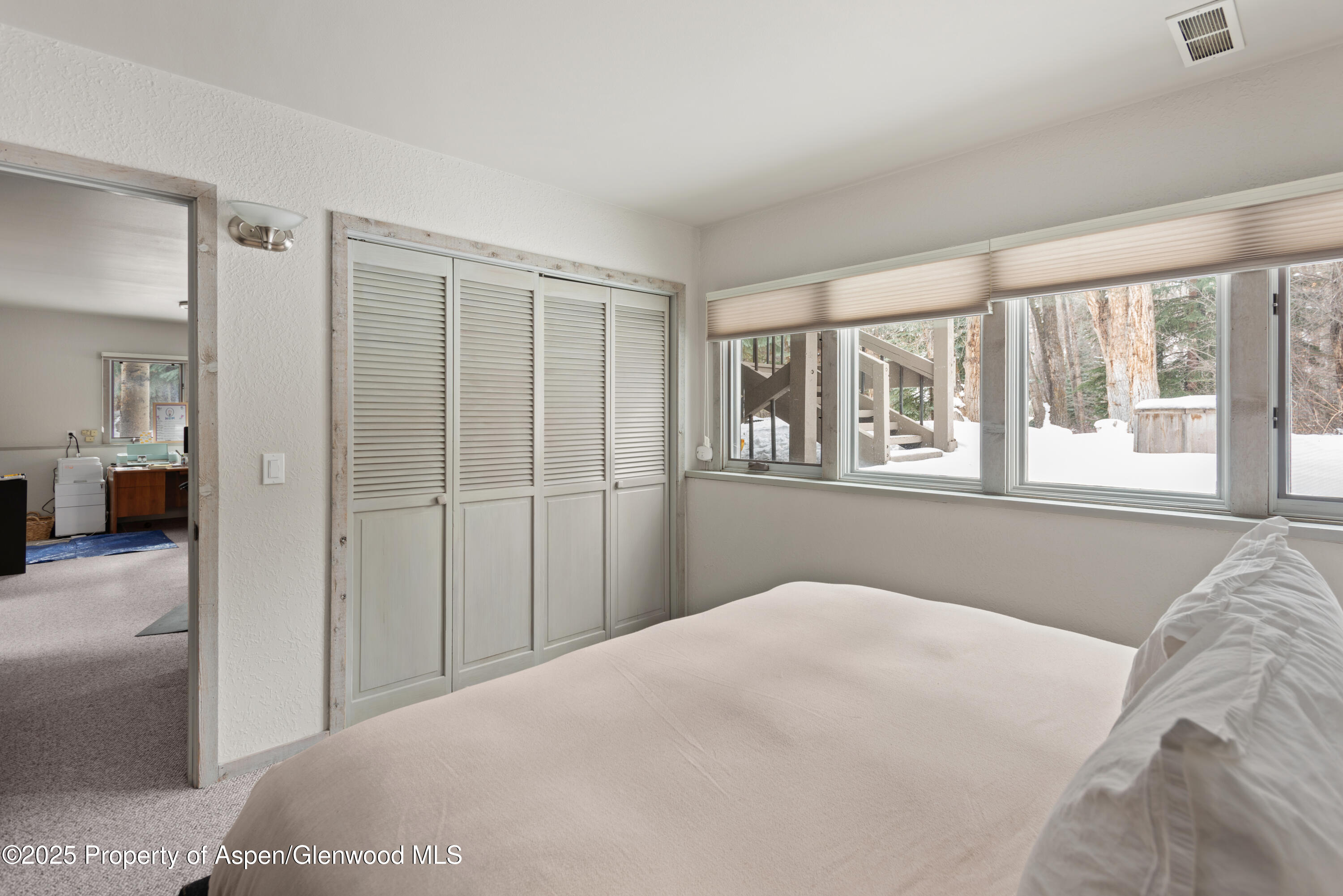 645 Sneaky Lane Aspen CO 81611