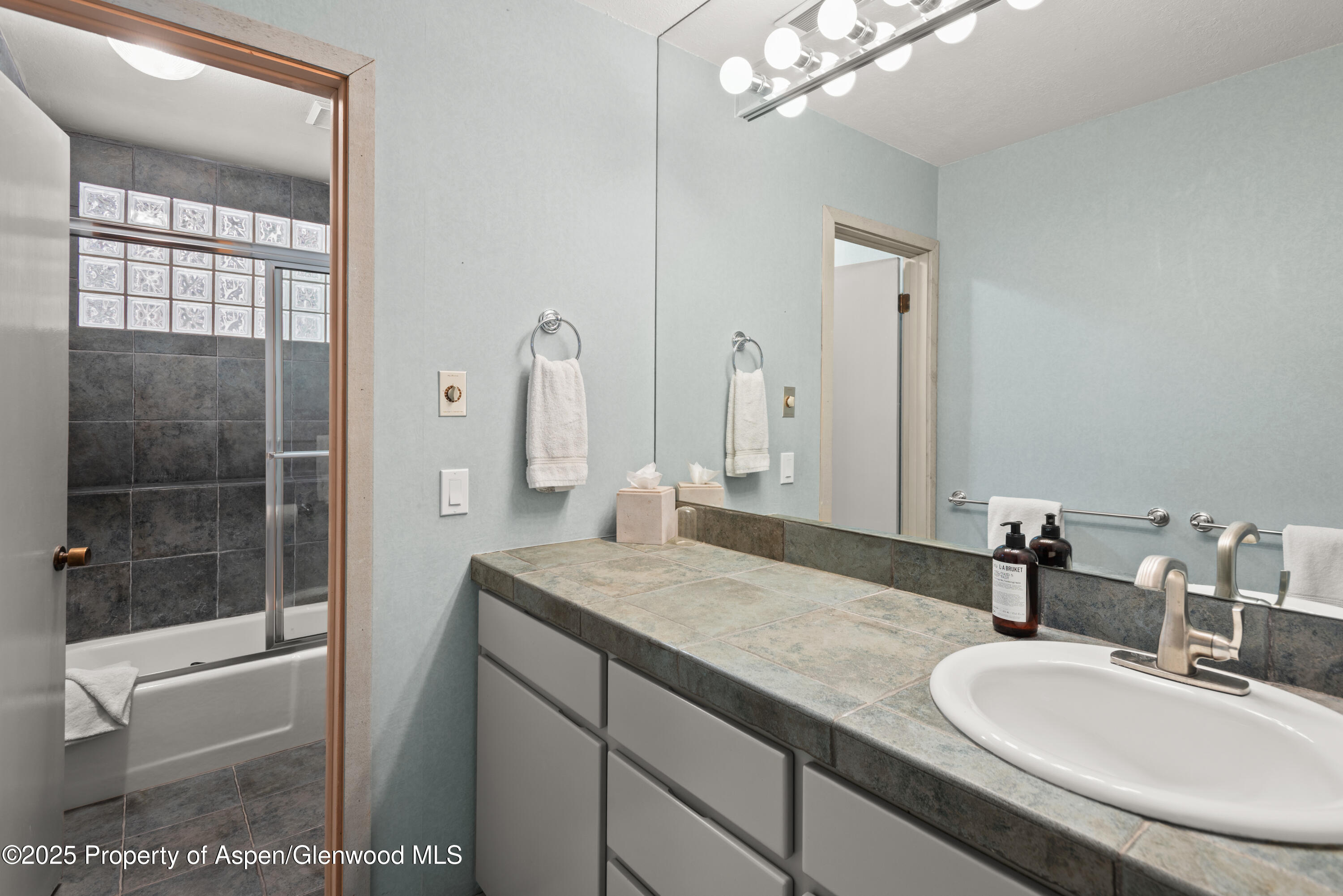 645 Sneaky Lane Aspen CO 81611