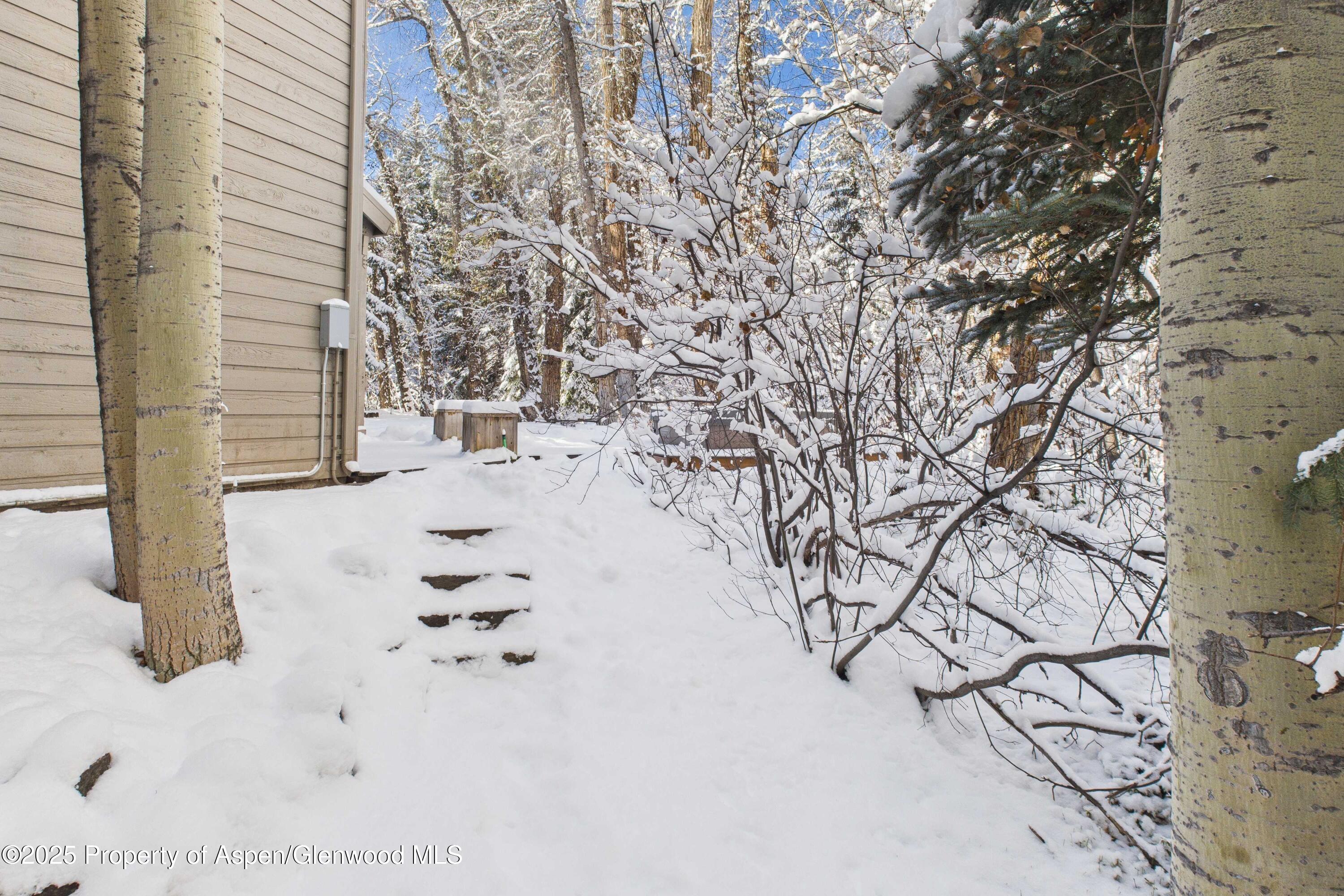 645 Sneaky Lane Aspen CO 81611