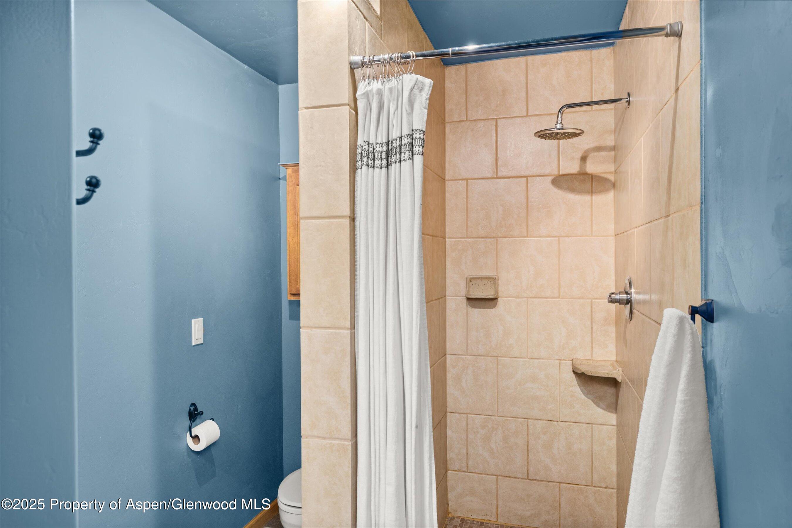 1116 Walz Avenue Glenwood Springs CO 81601