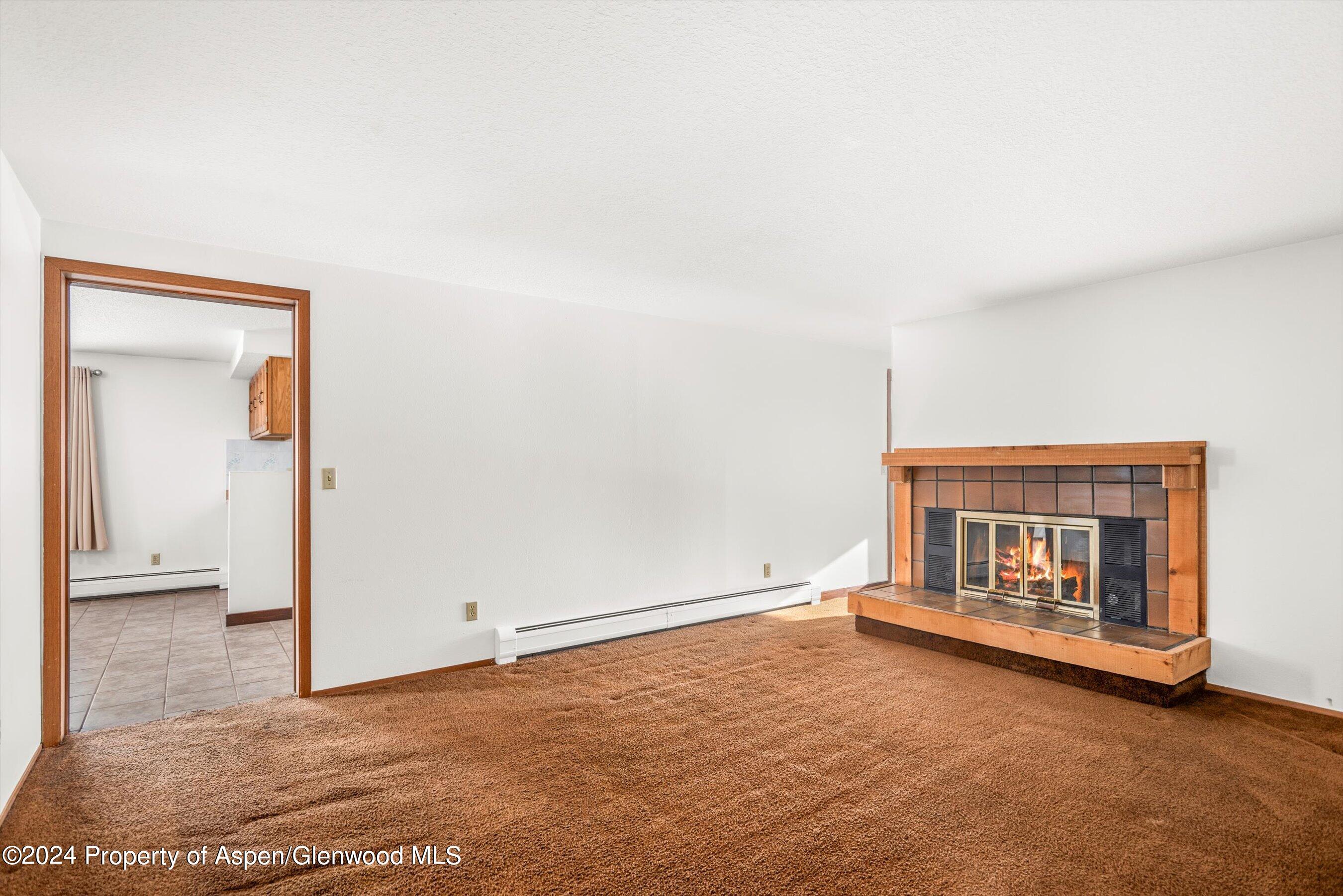 121 Ridge Trail Aspen CO 81611