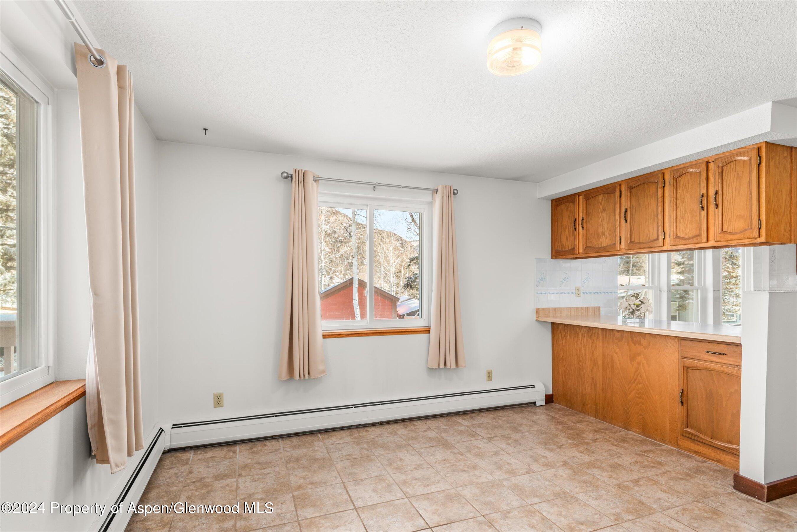 121 Ridge Trail Aspen CO 81611