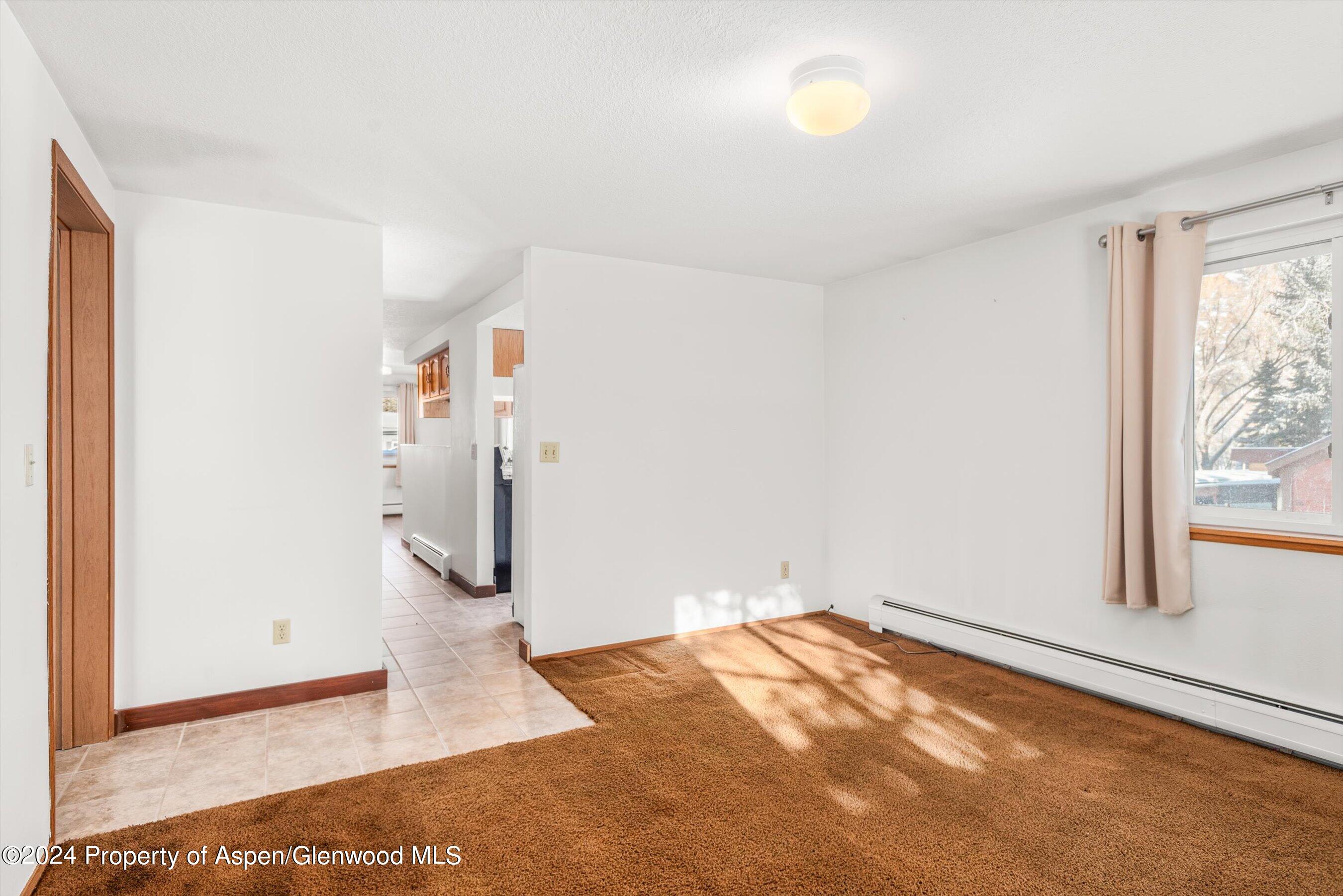 121 Ridge Trail Aspen CO 81611