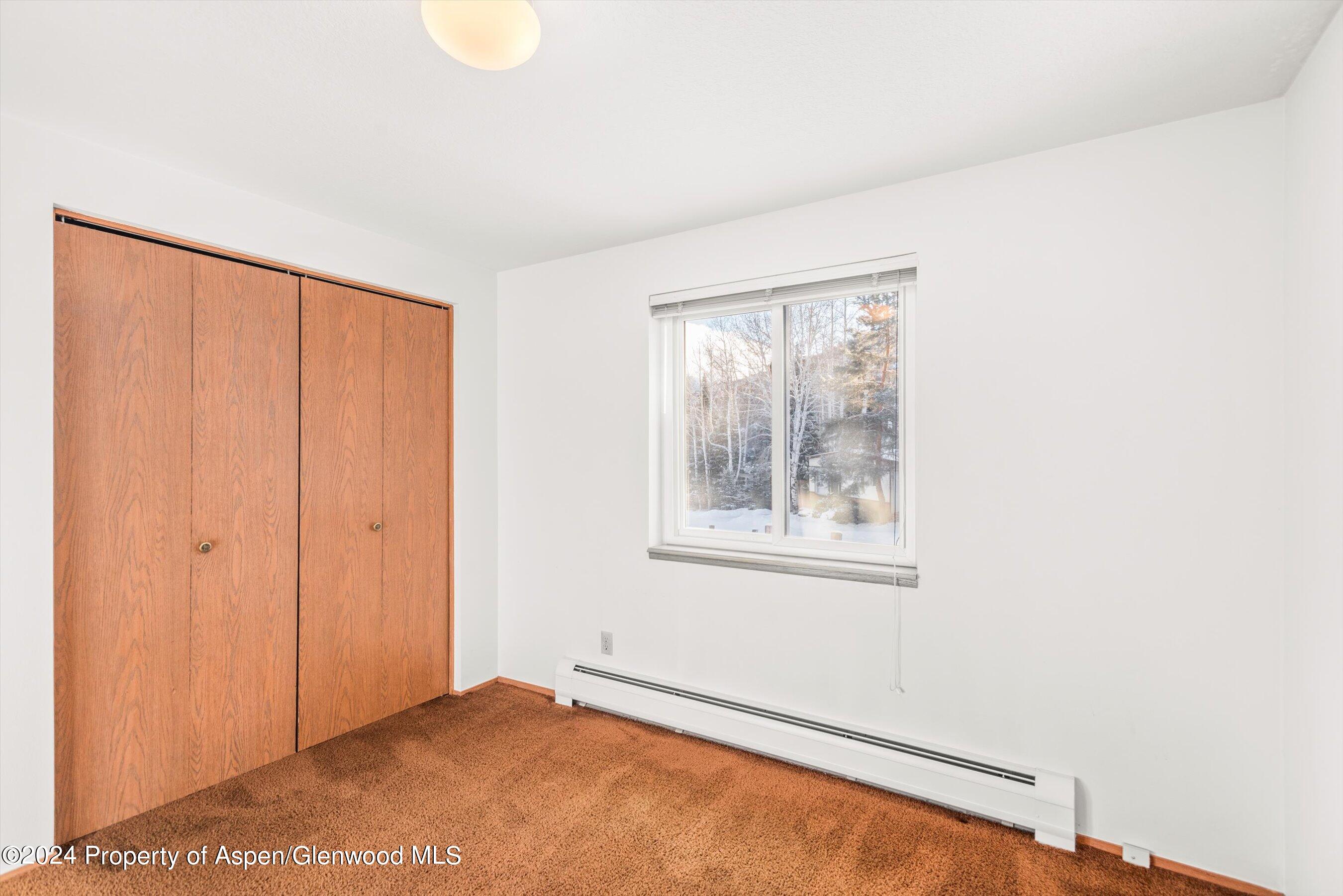 121 Ridge Trail Aspen CO 81611