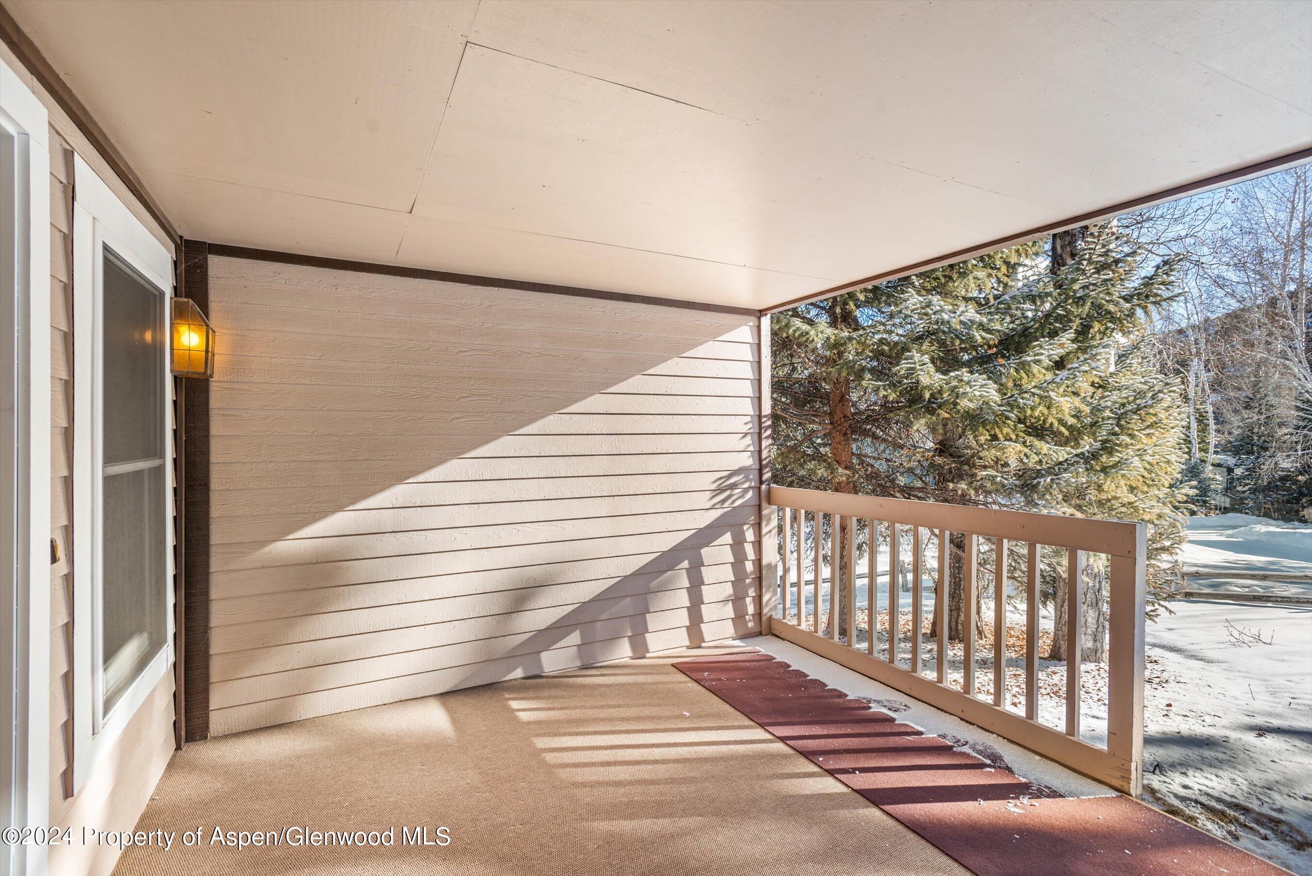 121 Ridge Trail Aspen CO 81611