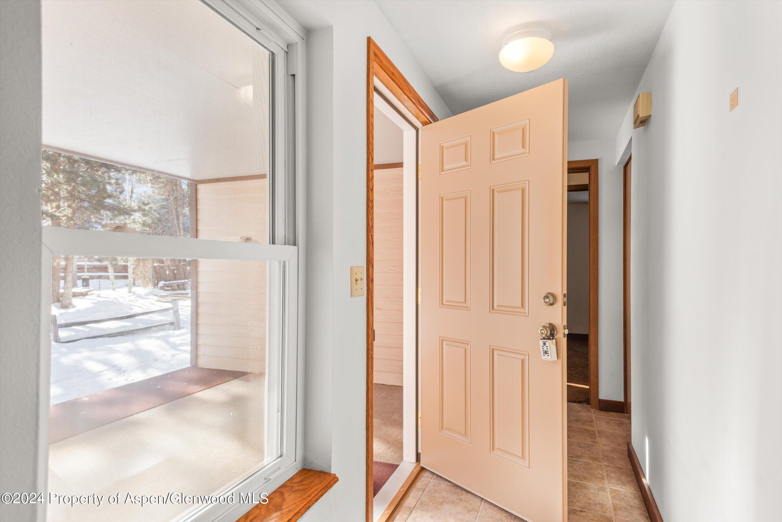 121 Ridge Trail Aspen CO 81611