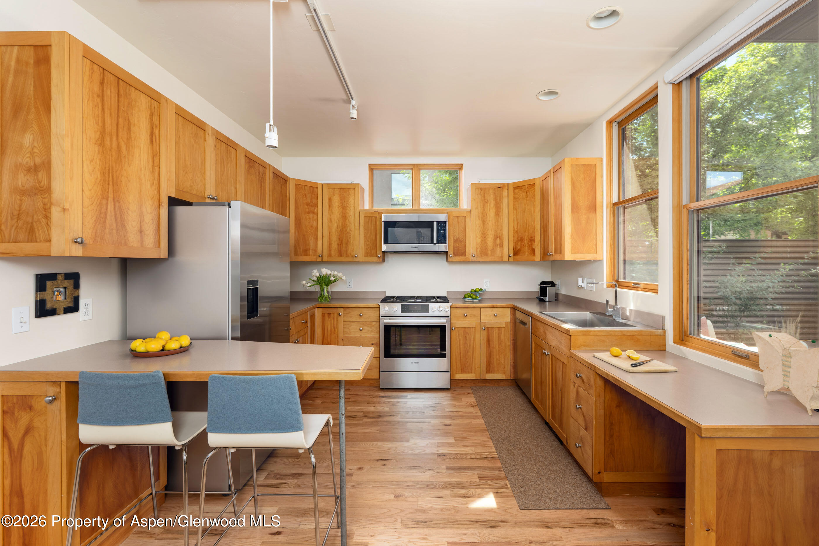 660 Lincoln Avenue Carbondale CO 81623