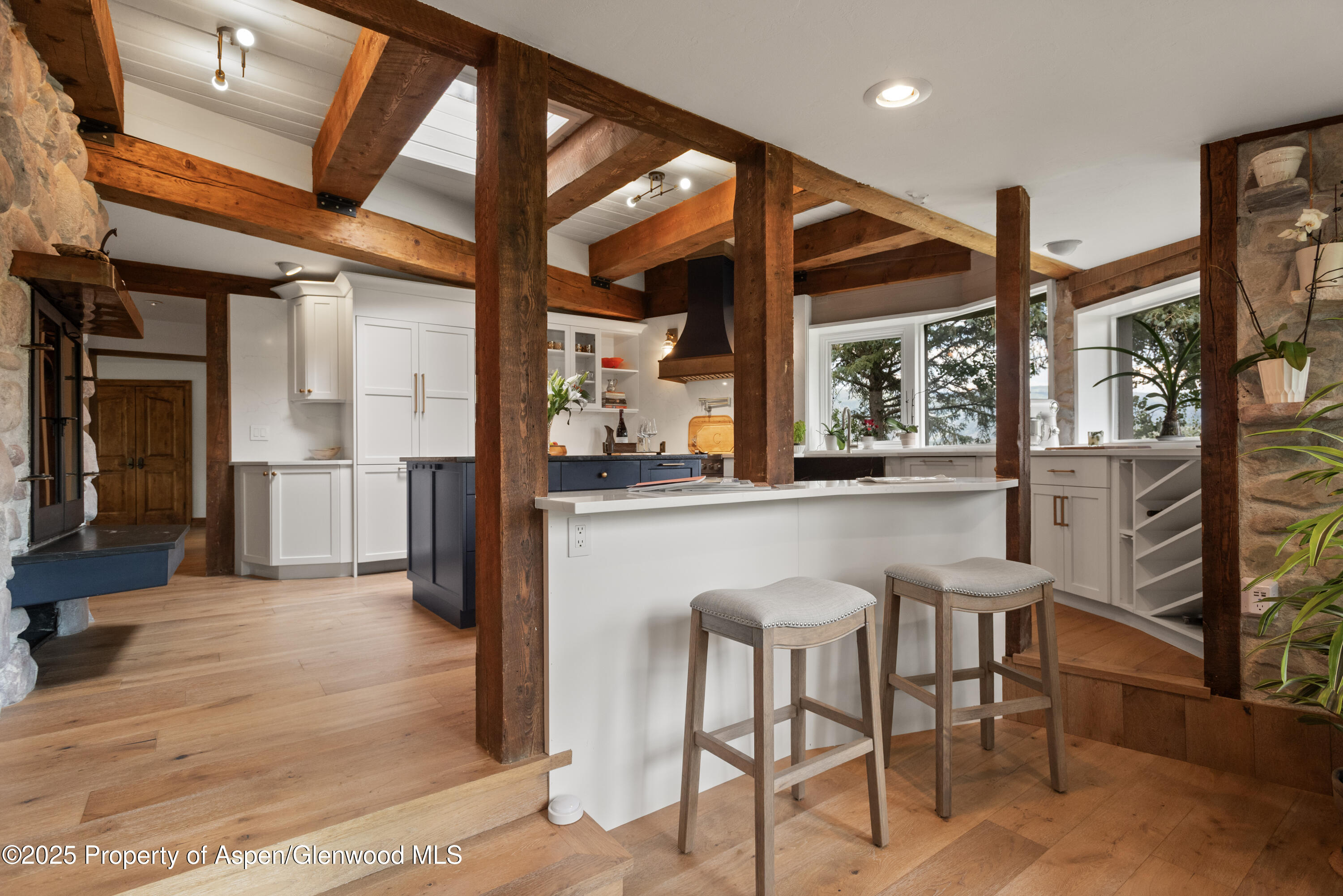 225 Solar Way Aspen CO 81611