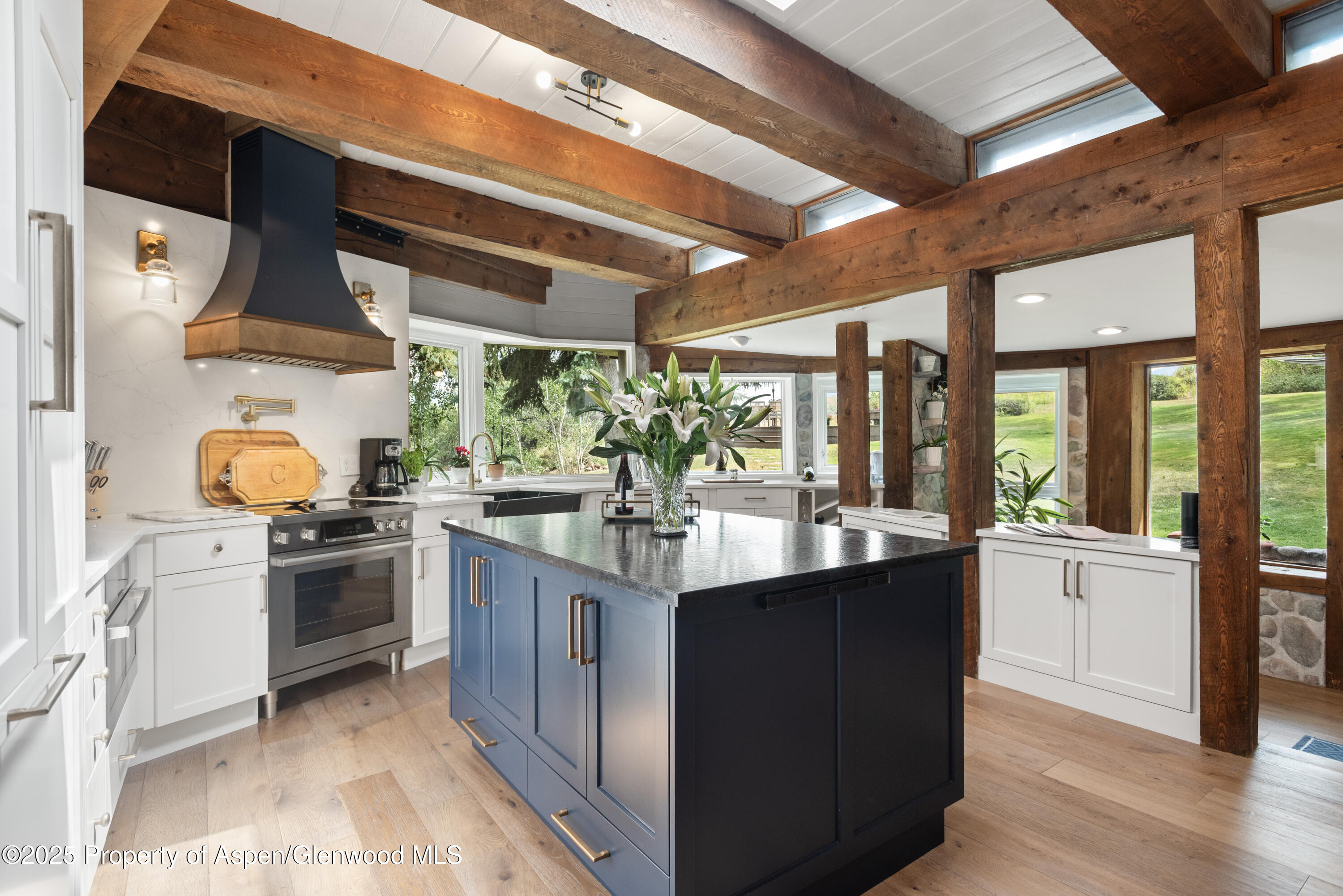 225 Solar Way Aspen CO 81611