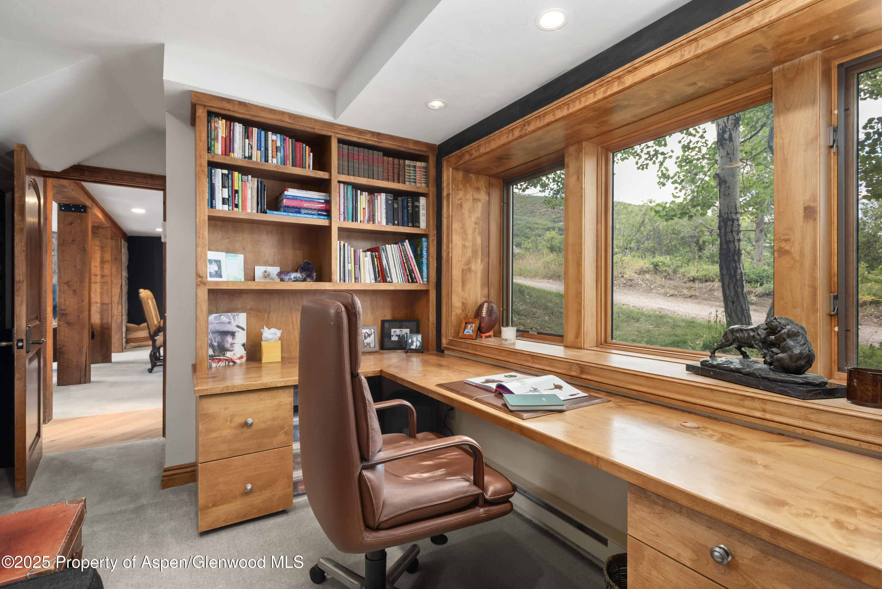 225 Solar Way Aspen CO 81611