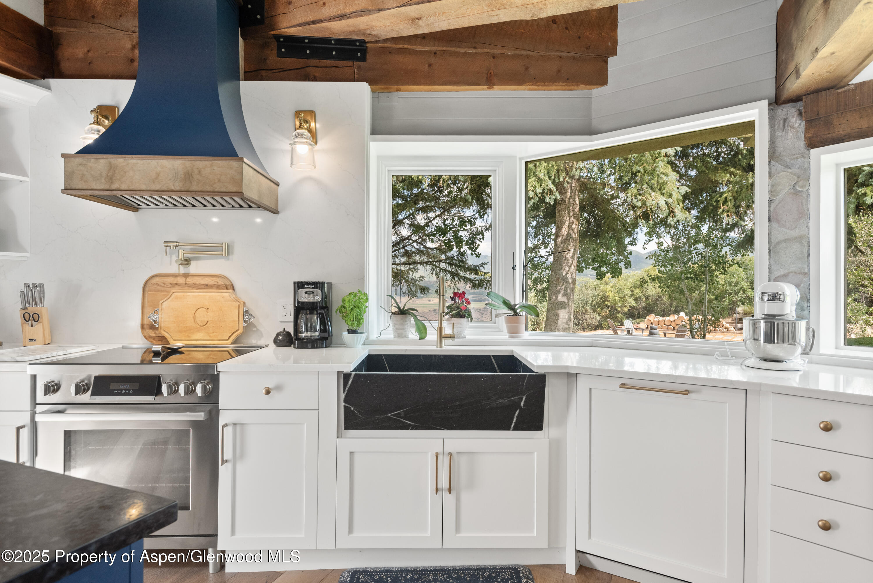 225 Solar Way Aspen CO 81611