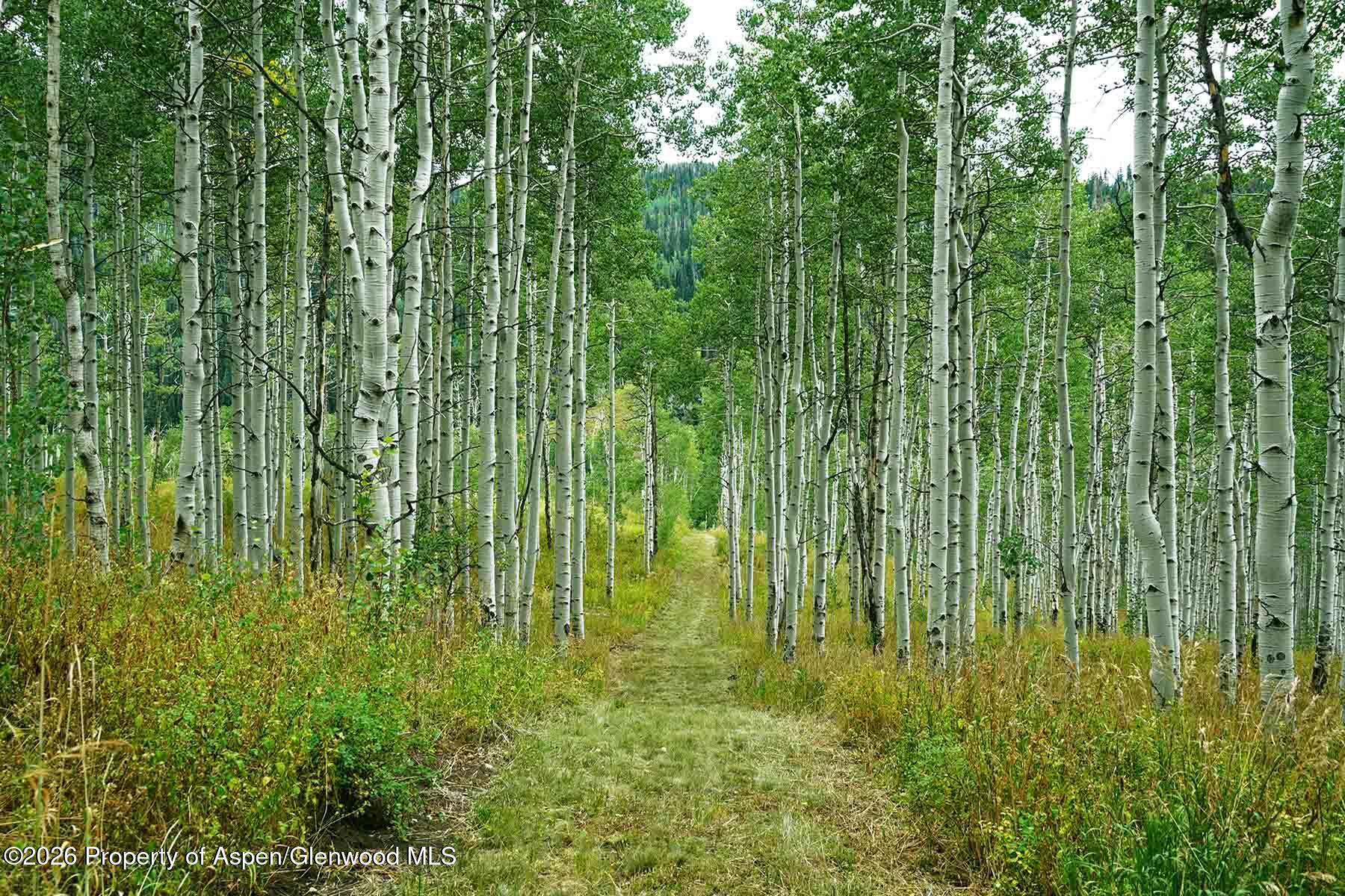 29830 County Road 8 Yampa CO 80483