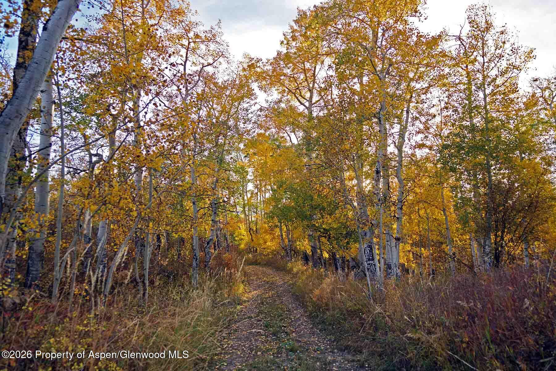29830 County Road 8 Yampa CO 80483