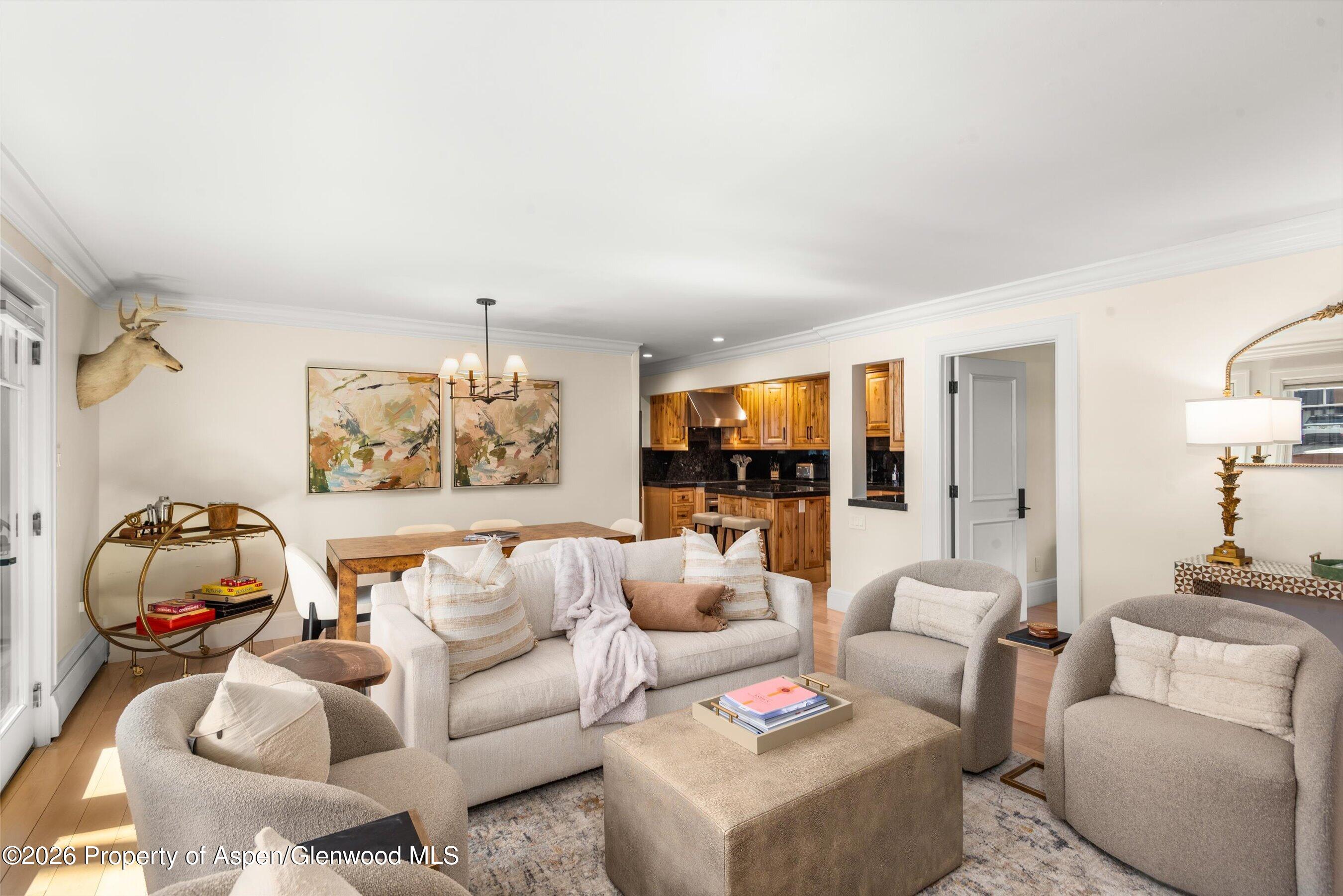 747 S Galena Street Aspen CO 81611