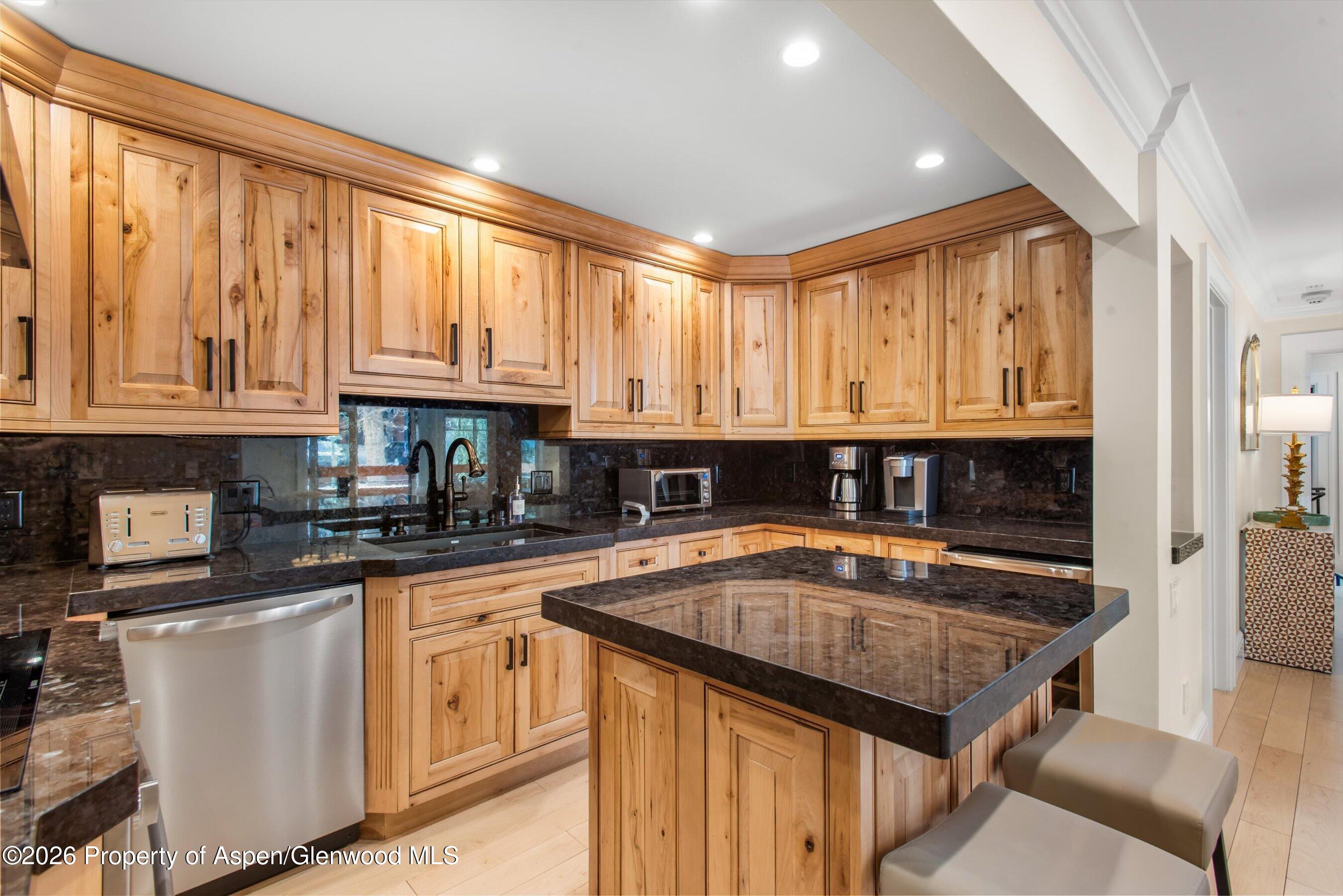 747 S Galena Street Aspen CO 81611