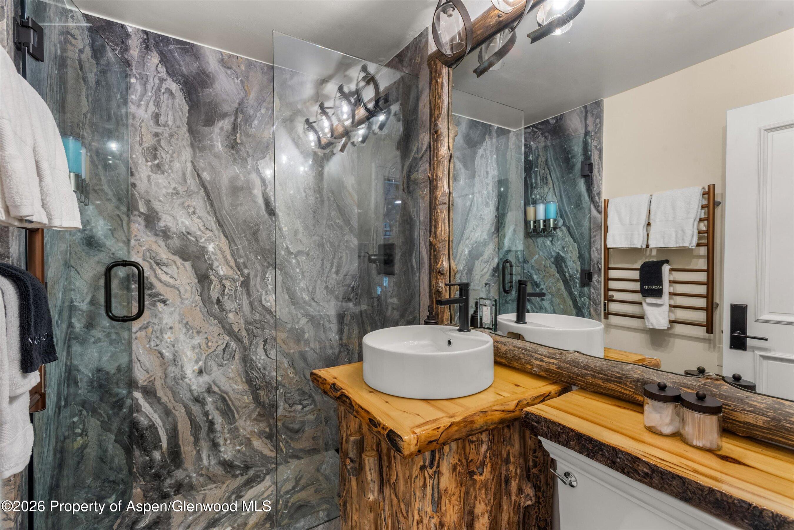 747 S Galena Street Aspen CO 81611