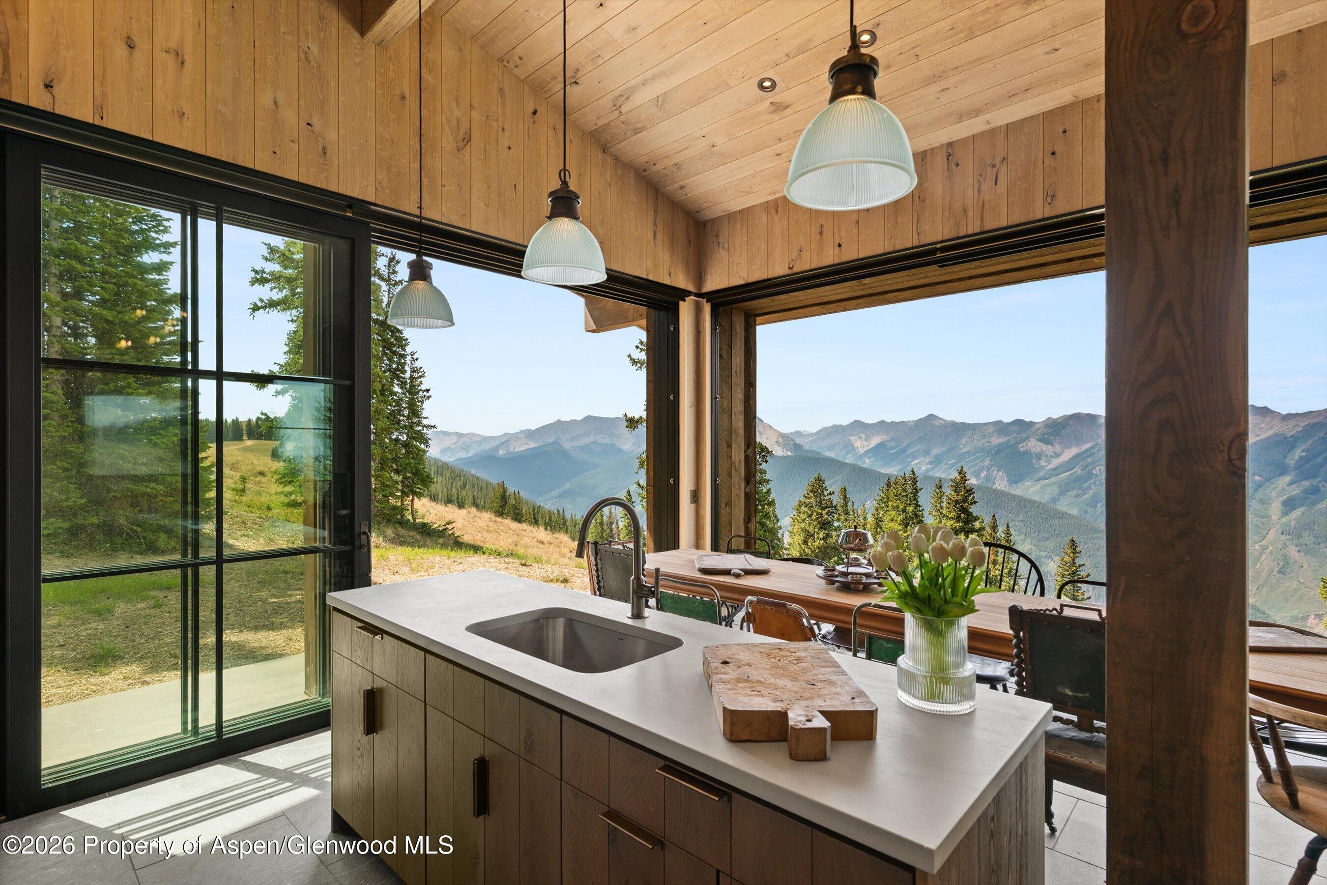 1221 Richmond Hill Road Aspen CO 81611