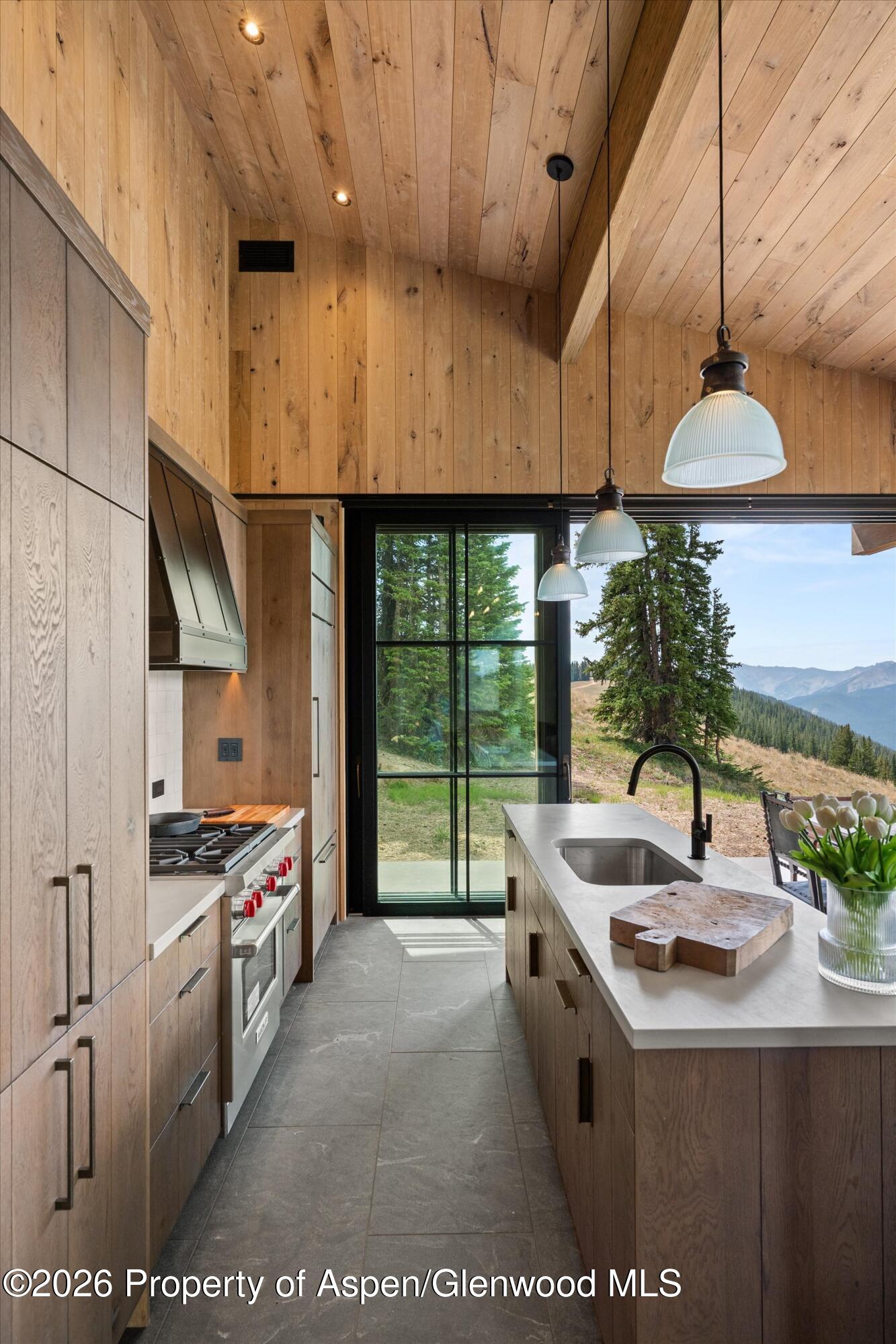 1221 Richmond Hill Road Aspen CO 81611