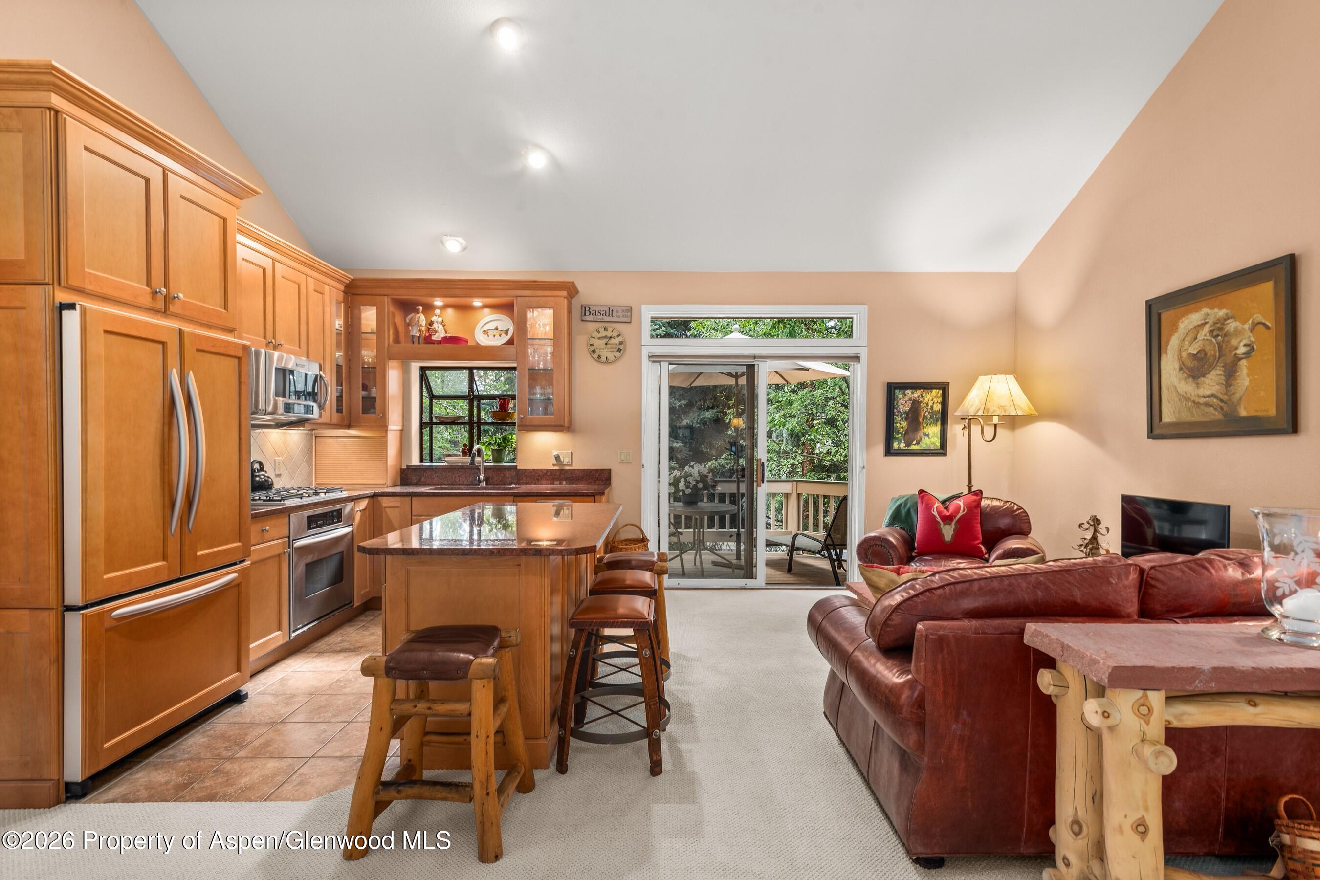 Basalt CO, 1504 Mockingbird Lane