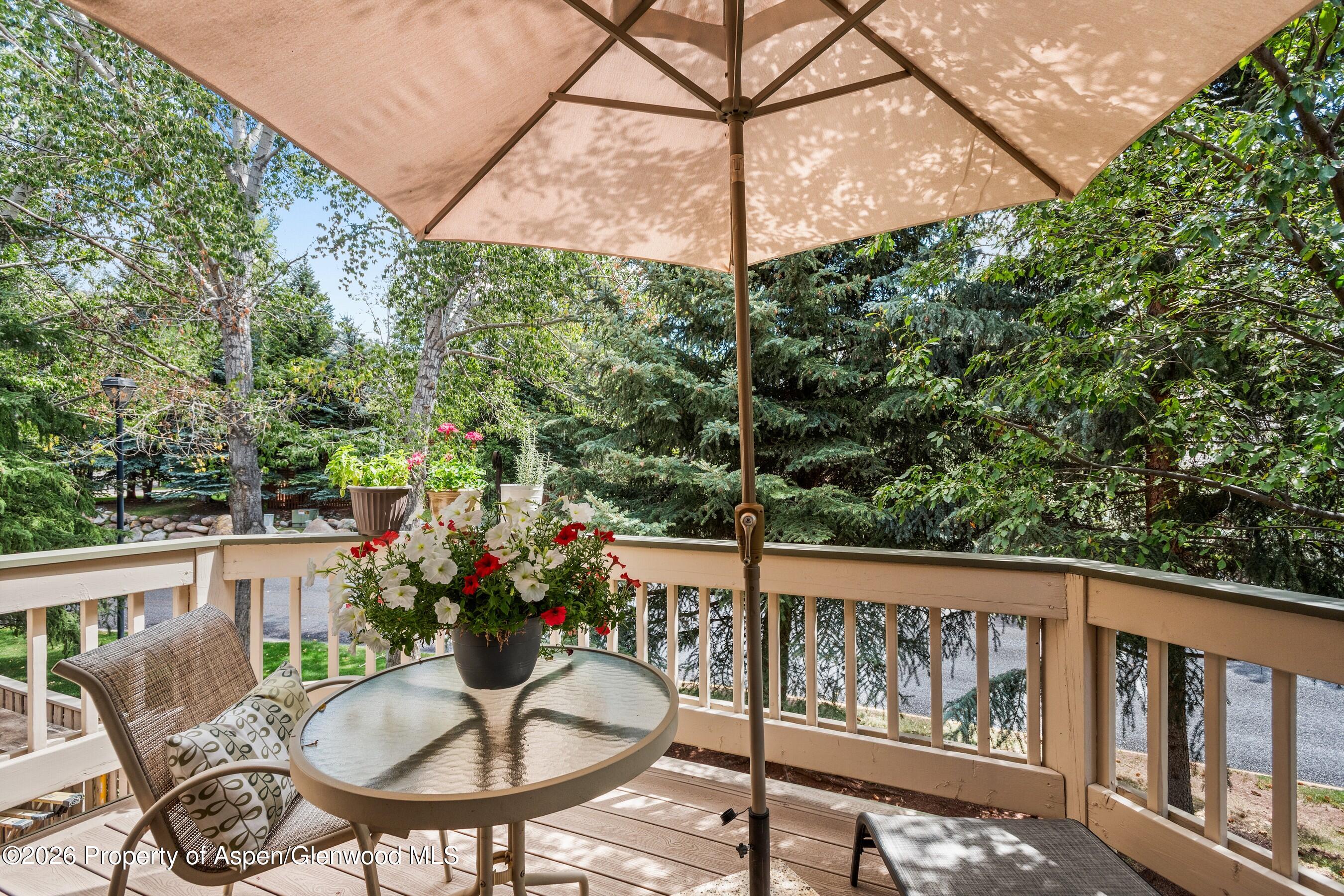 1504 Mockingbird Lane Basalt CO 81621
