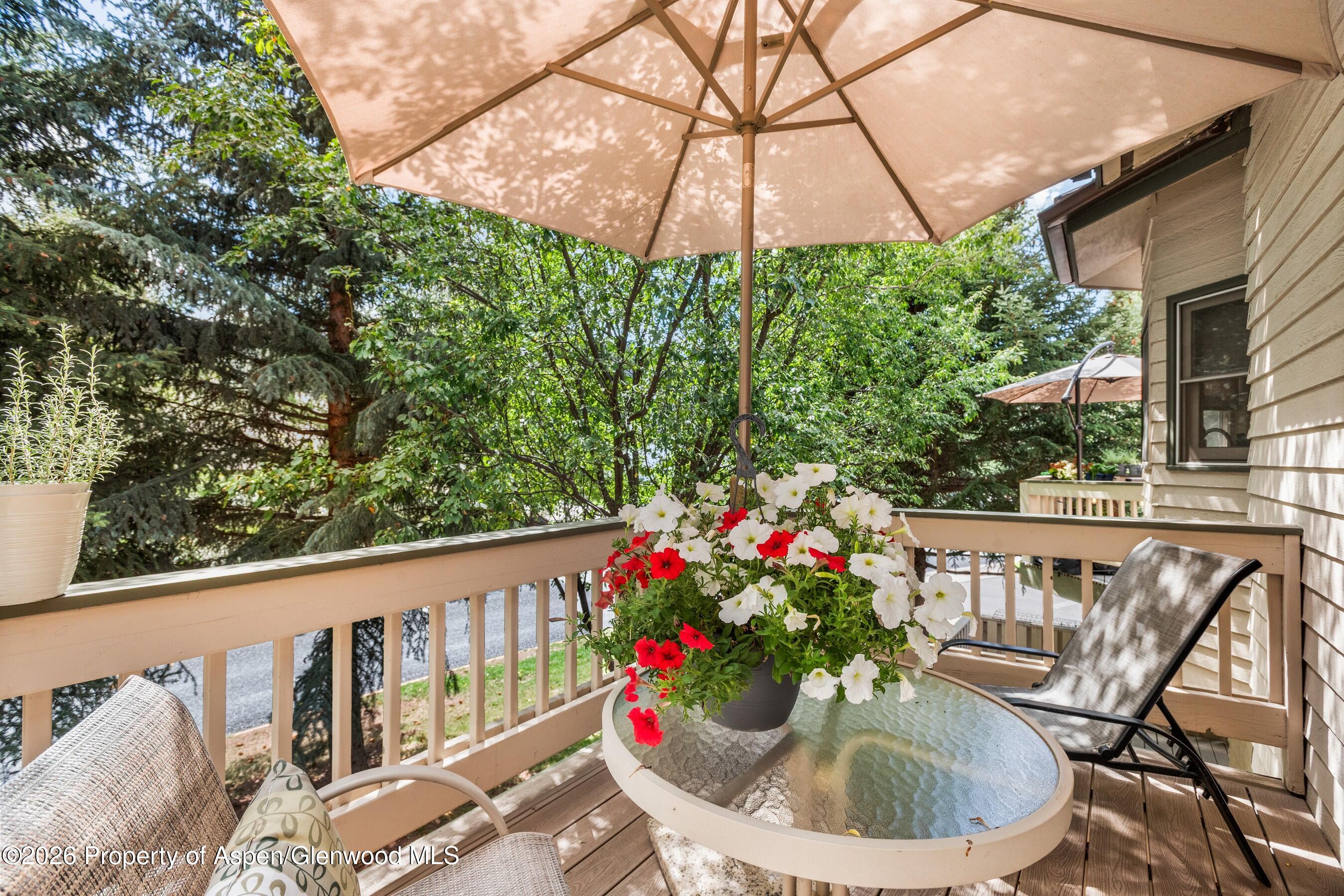 1504 Mockingbird Lane Basalt CO 81621
