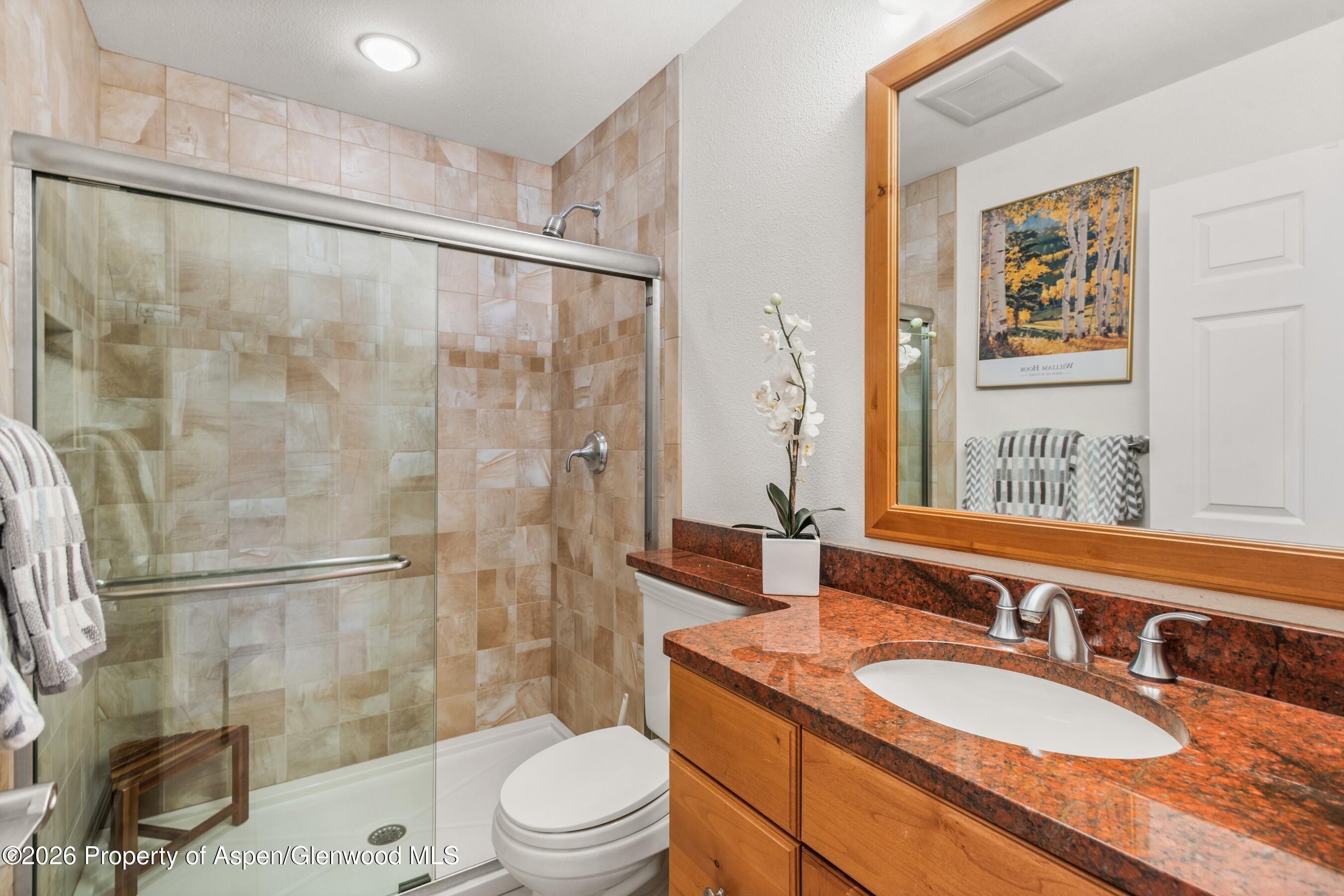 1504 Mockingbird Lane Basalt CO 81621