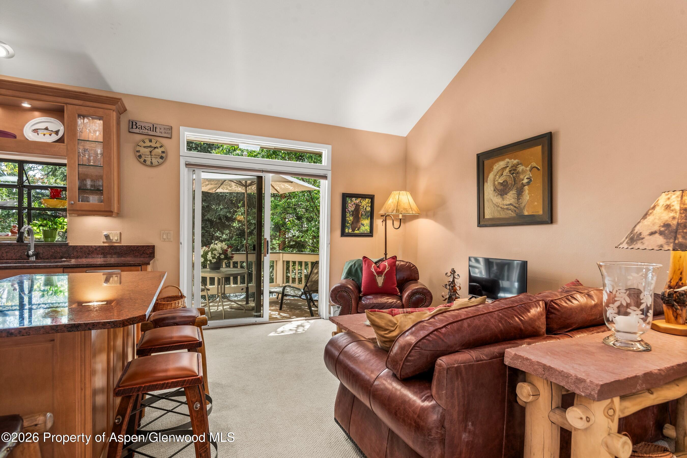 1504 Mockingbird Lane Basalt CO 81621