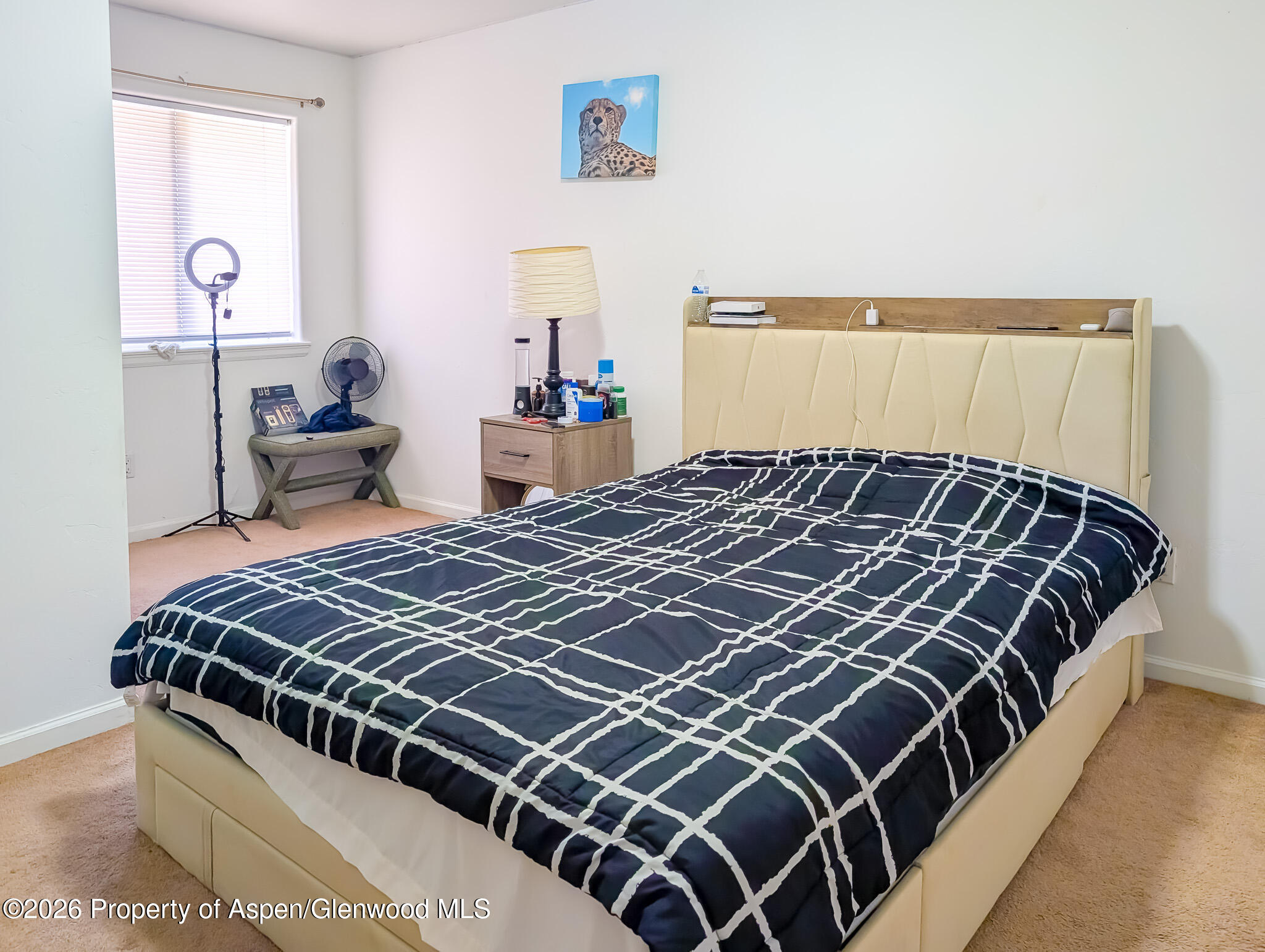 2559 S Grand Avenue Glenwood Springs CO 81601