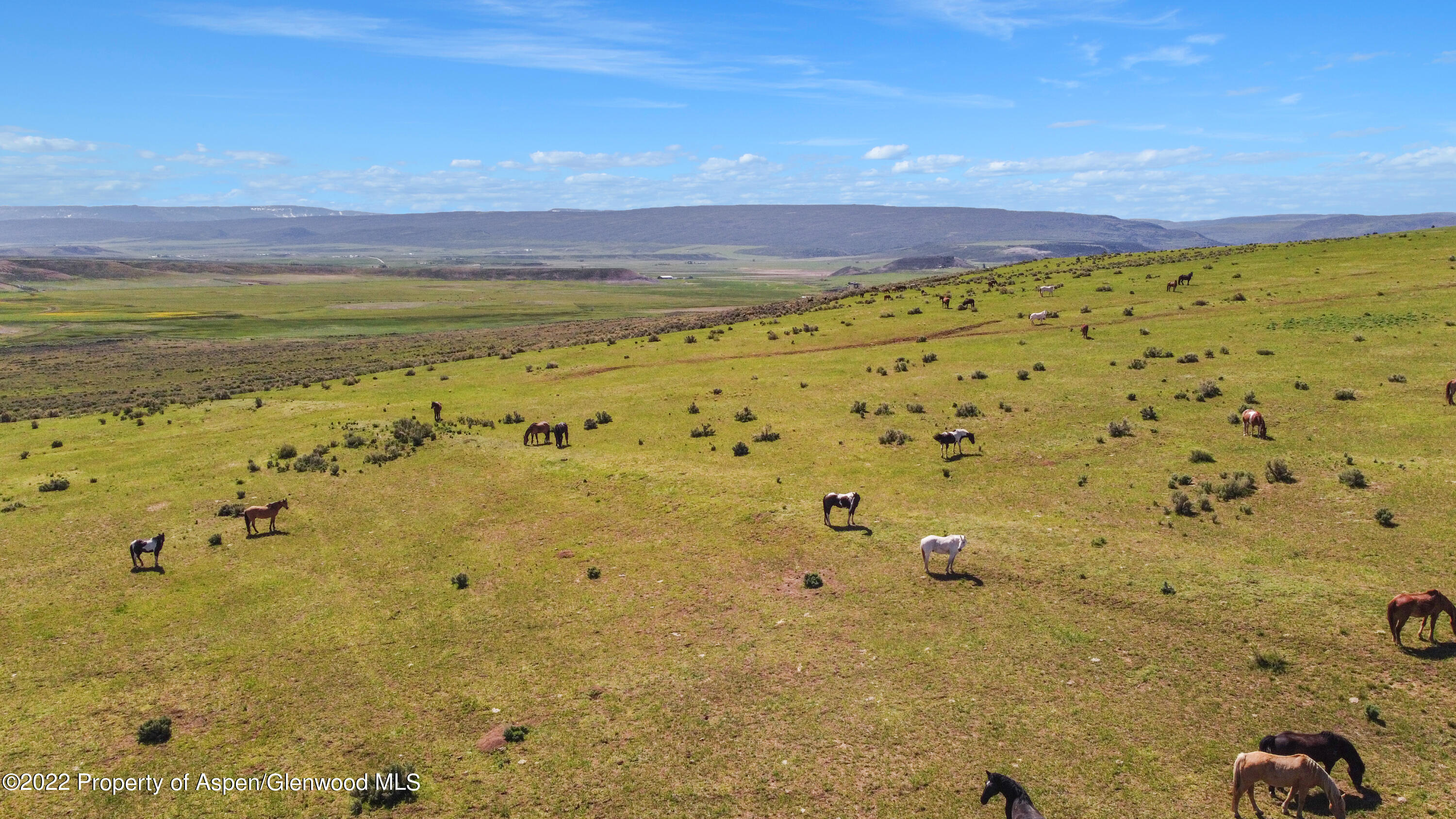 Tbd County Road 15 Meeker CO 81641