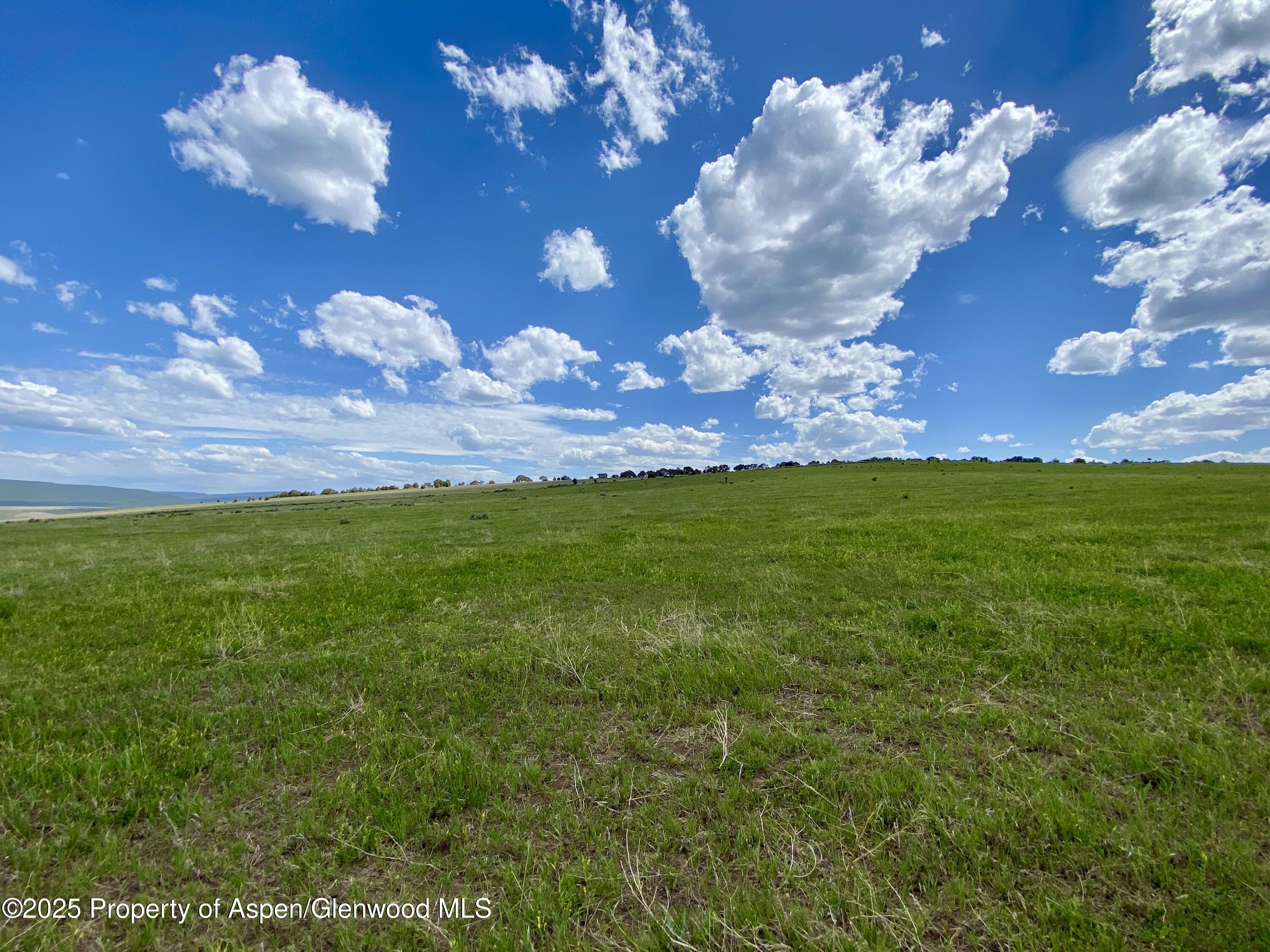 Tbd County Road 15 Meeker CO 81641