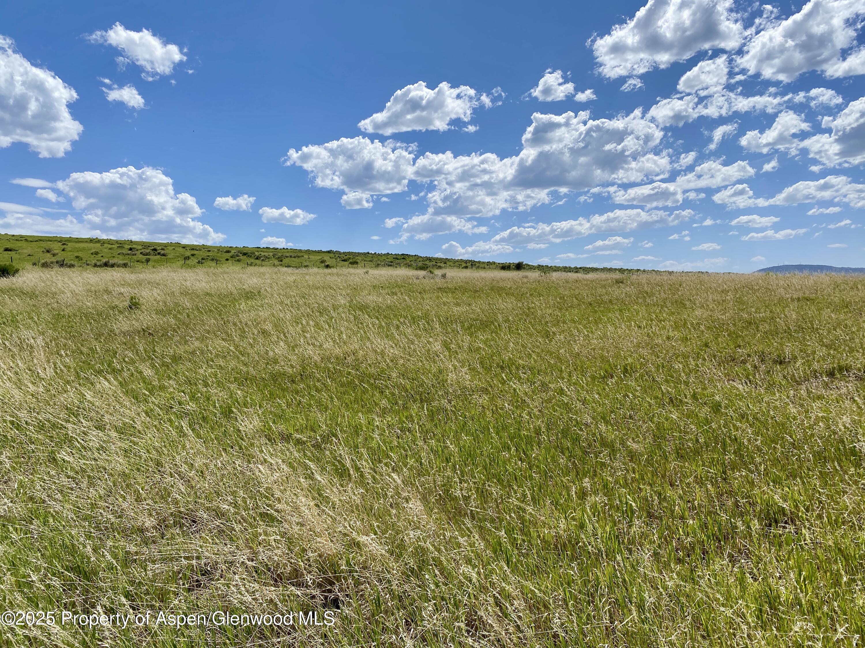 Tbd County Road 15 Meeker CO 81641