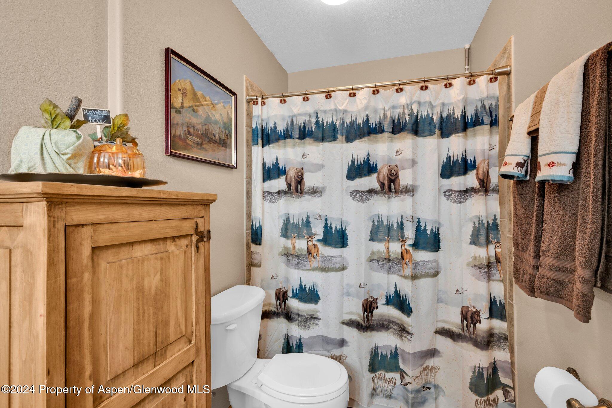 50 Shawnee Trail Westcliffe CO 81252