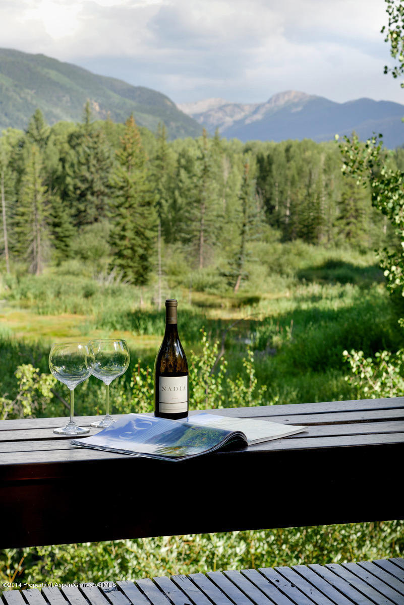 830 Roaring Fork Road Aspen CO 81611