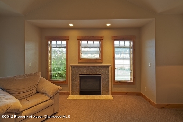 69 Larkspur Drive Carbondale CO 81623