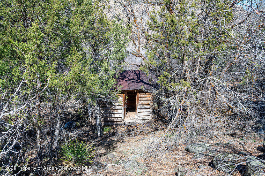 53404 Highway 330 Collbran CO 81624