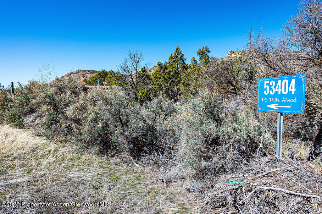 53404 Highway 330 Collbran CO 81624